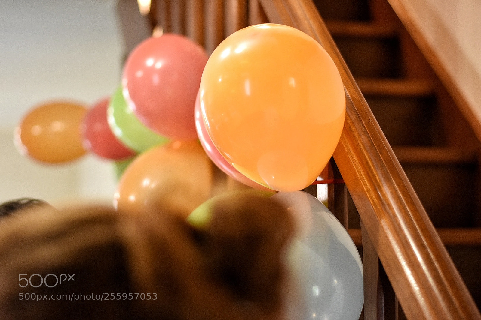 Nikon D3400 sample photo. 70 photography