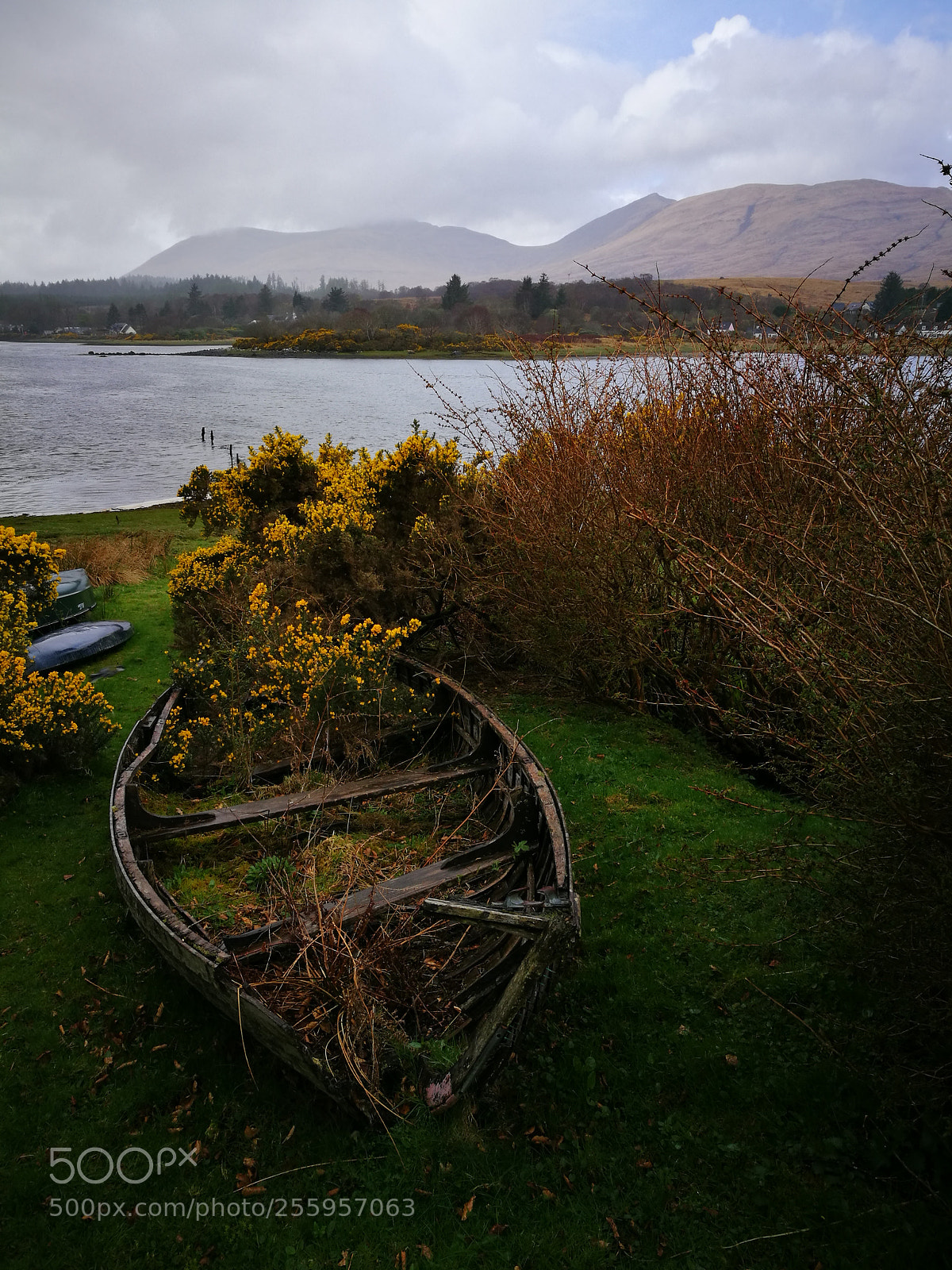 HUAWEI P9 sample photo. A piece of mull photography
