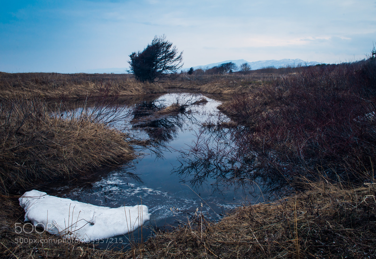 Nikon D7200 sample photo. *** photography