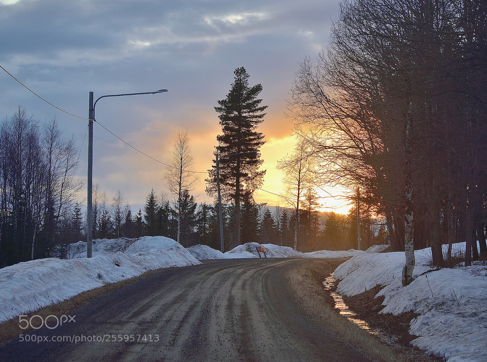 Nikon D610 sample photo. Lapland drive photography
