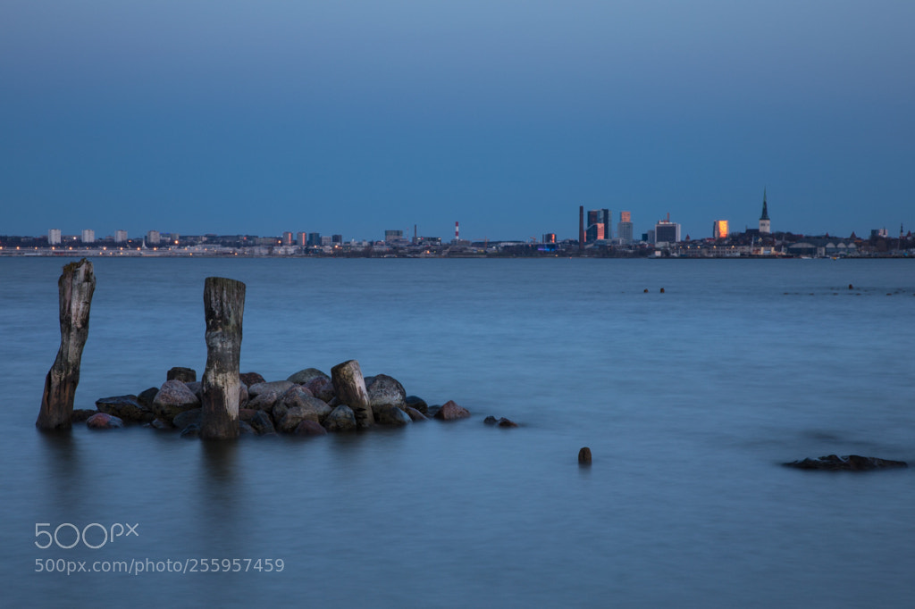 Canon EOS 6D sample photo. Old stakes and city photography