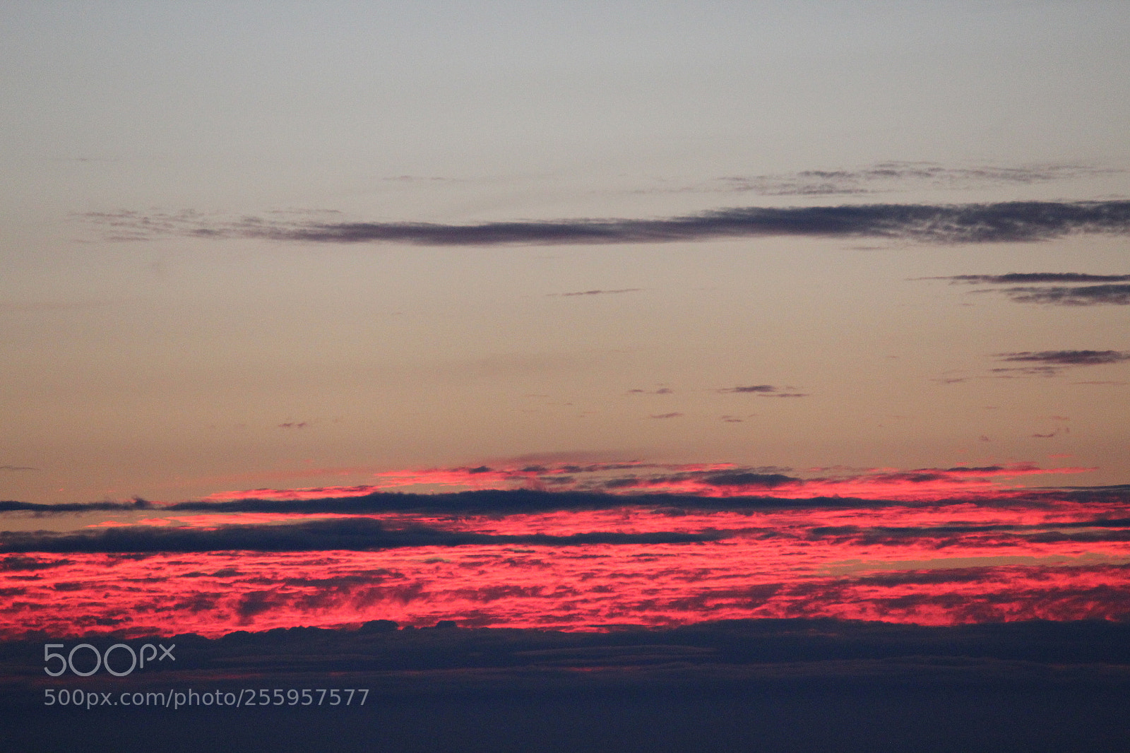 Canon EF-S 55-250mm F4-5.6 IS II sample photo. Img photography