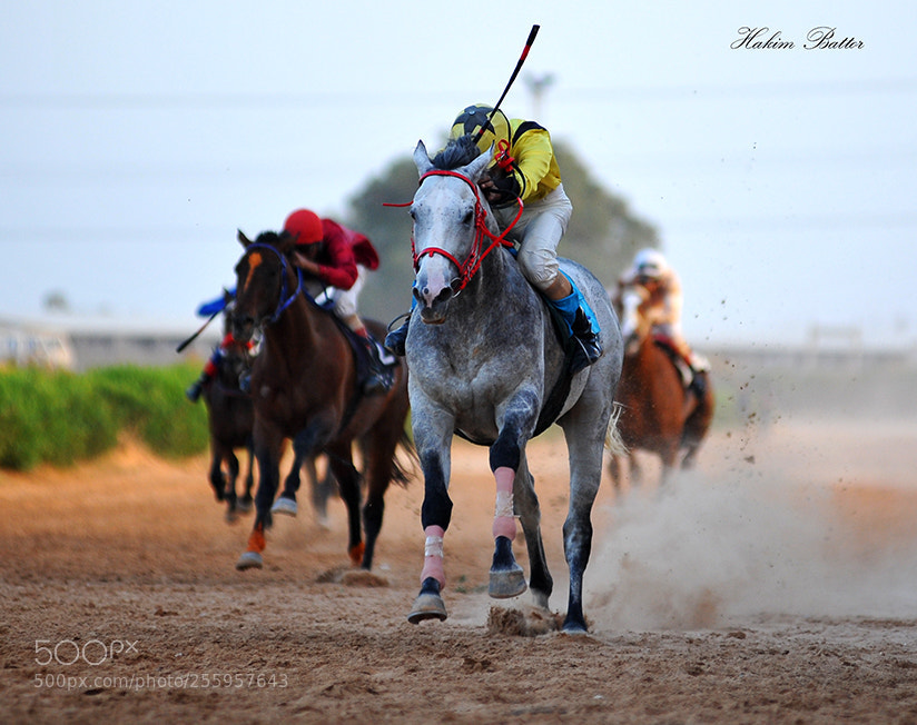 Nikon D700 sample photo. Copy photography