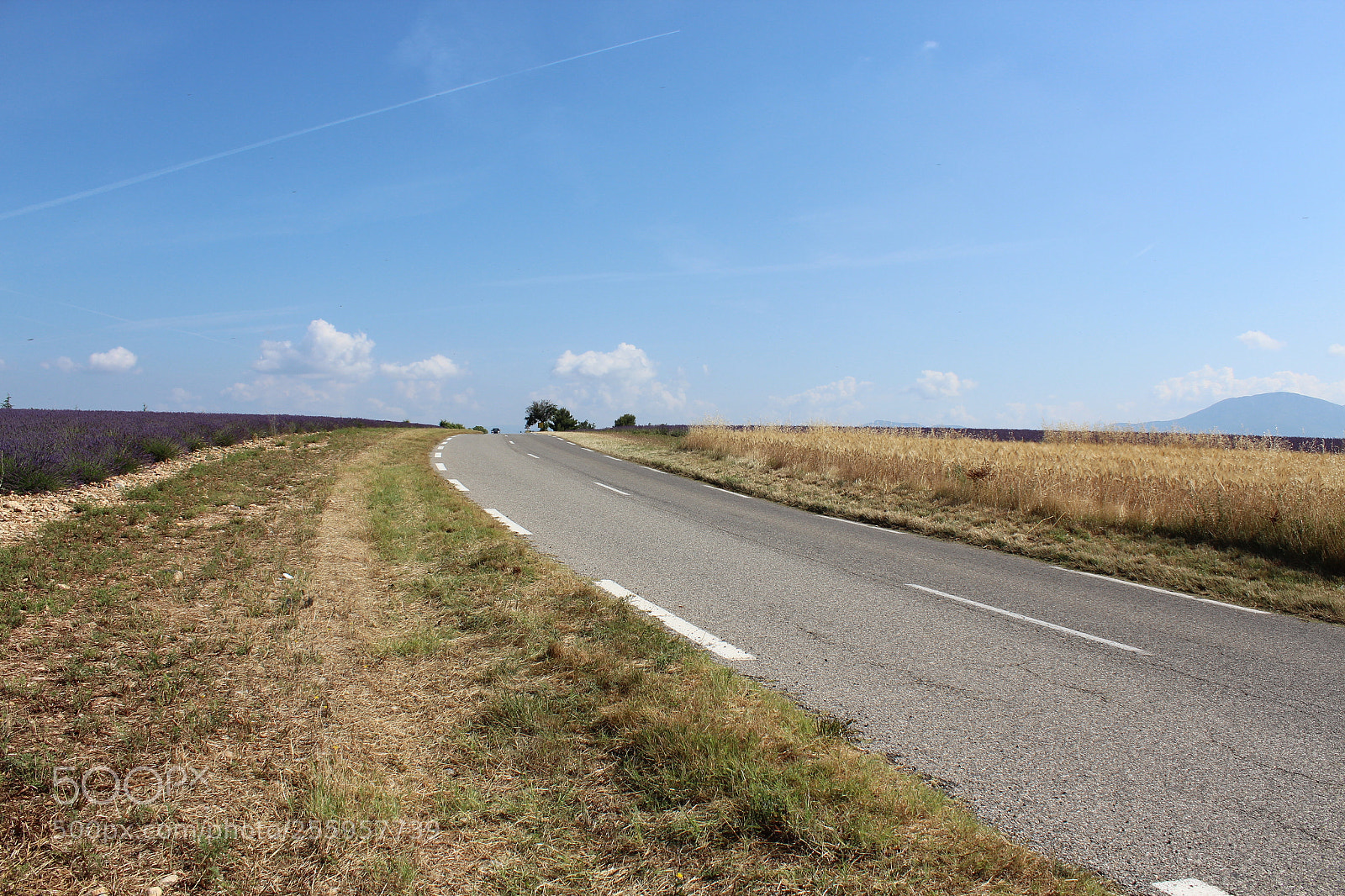 Canon EOS 600D (Rebel EOS T3i / EOS Kiss X5) sample photo. Img photography