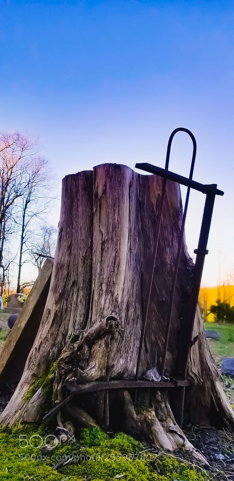 Samsung Galaxy S8+ sample photo. Untitled photography