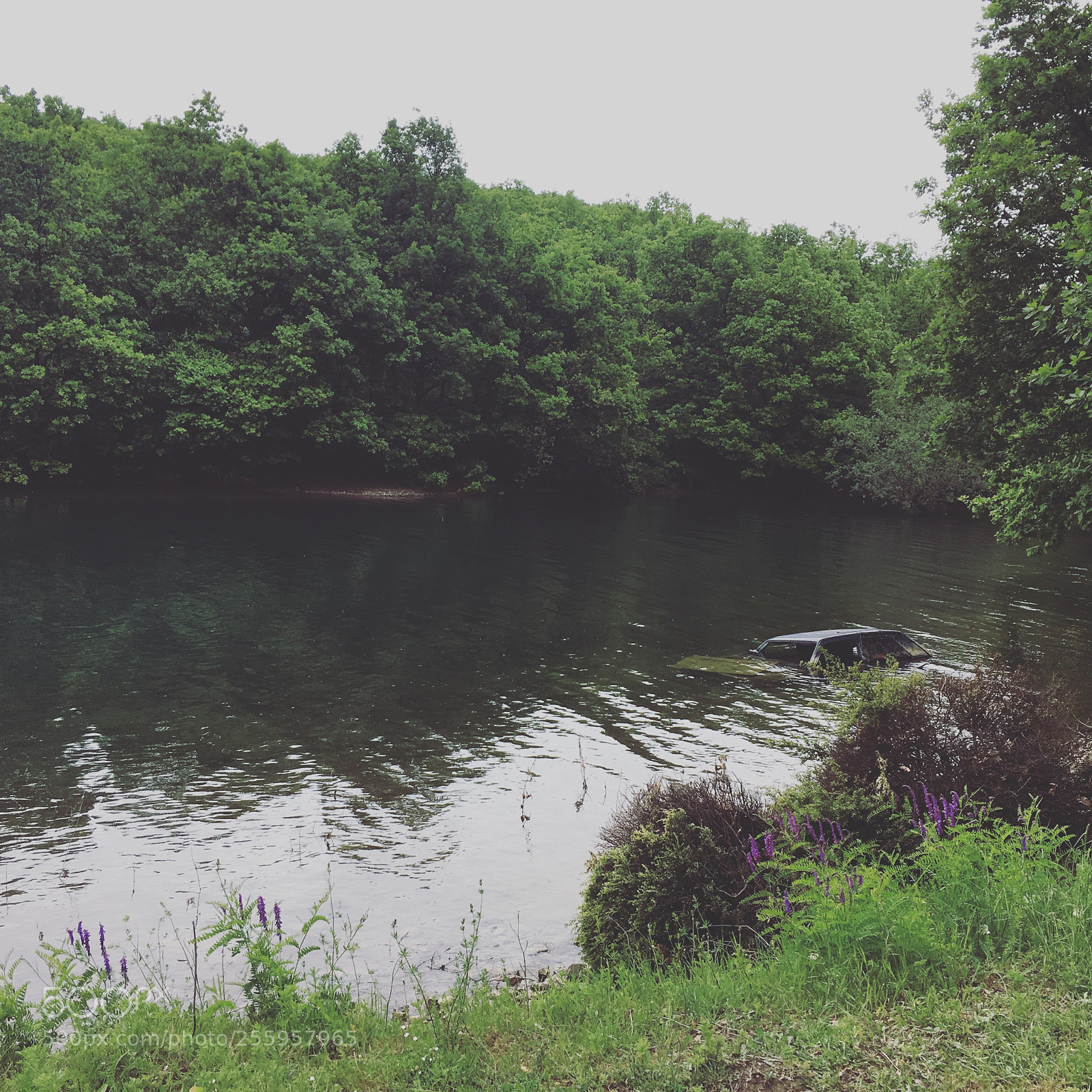 Apple iPhone 6s sample photo. Stranger in the lake photography