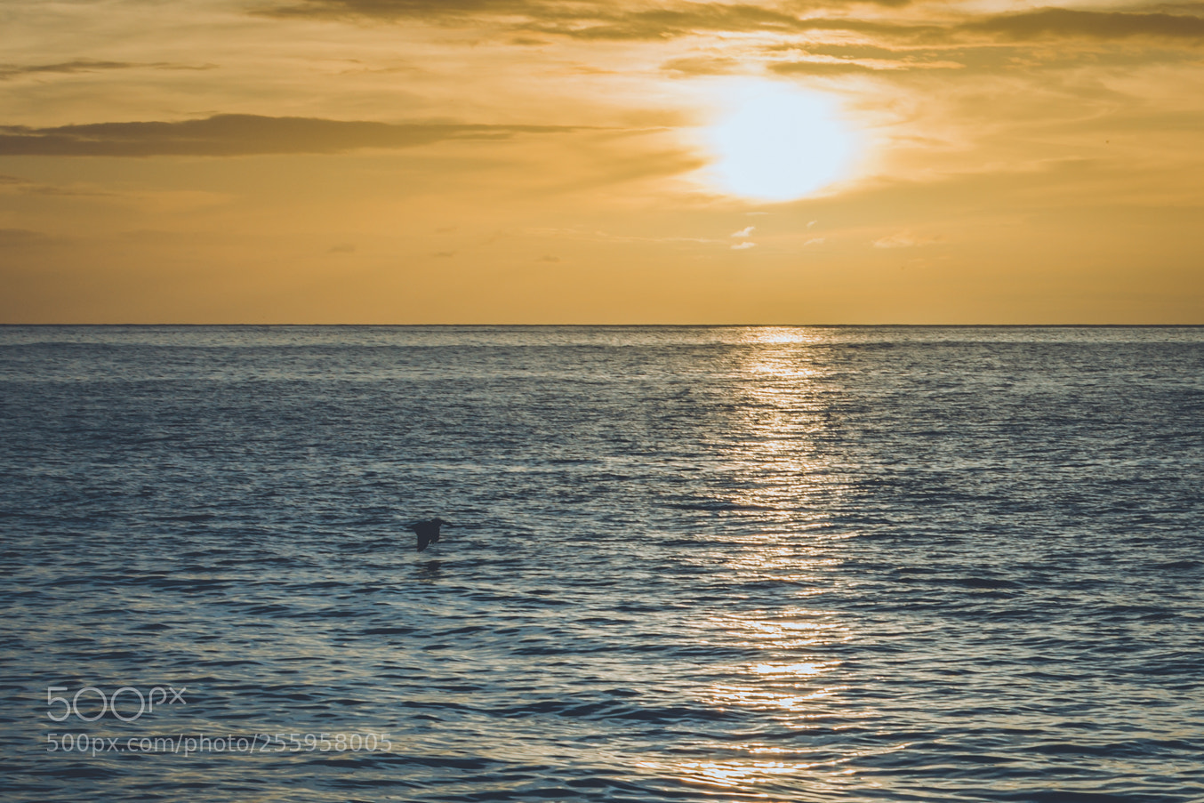 Nikon D5200 sample photo. Sunset photography