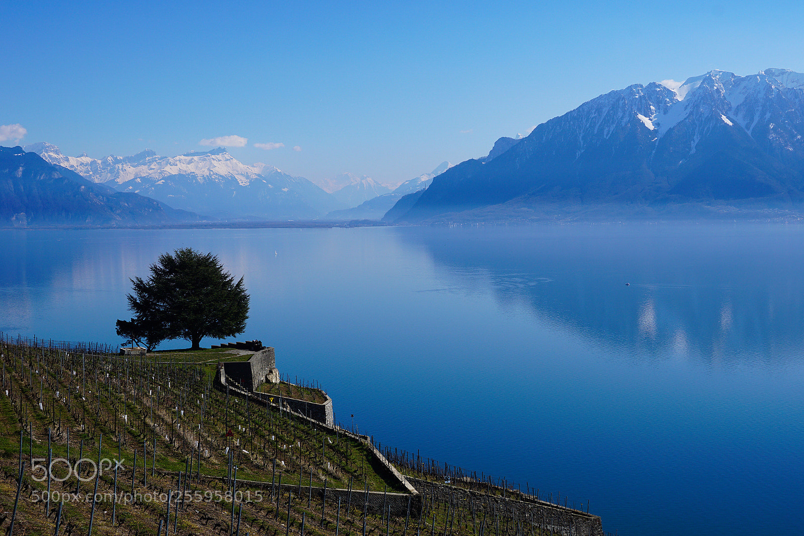 Sony a6000 sample photo. Lavaux ? photography