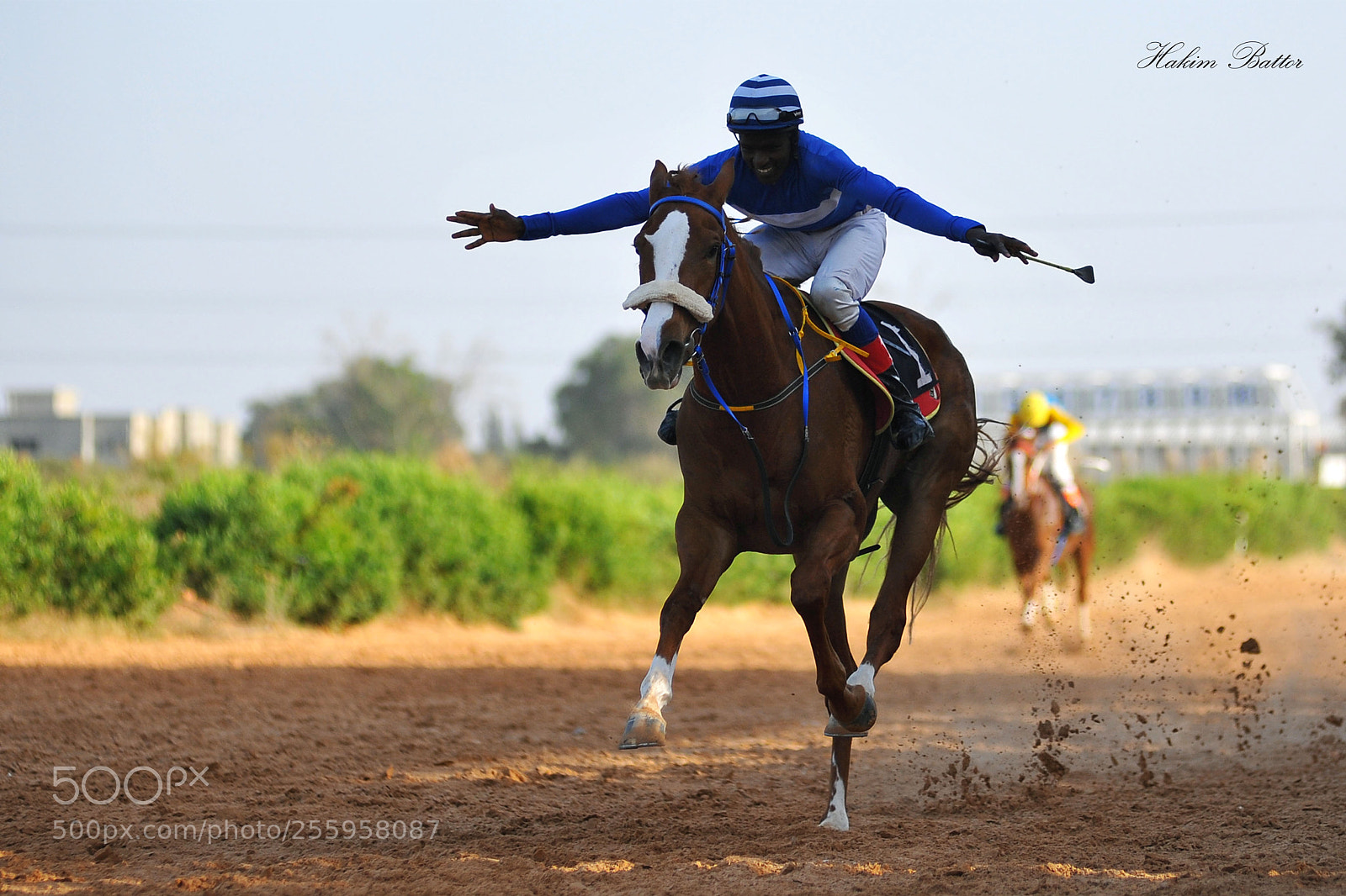Nikon D700 sample photo. Copy photography