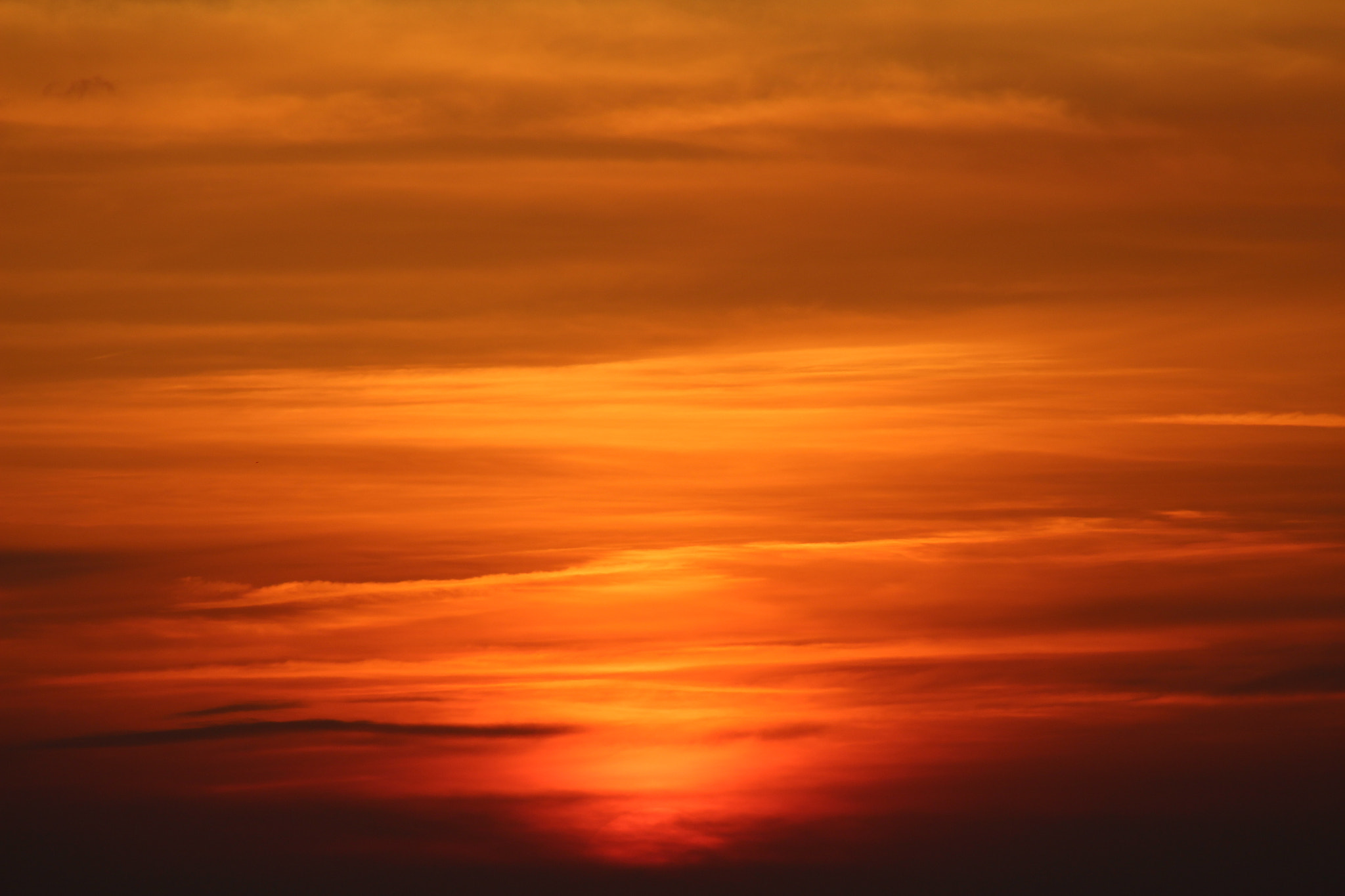 Canon EF 75-300mm f/4-5.6 sample photo. Sunset at barbecue photography