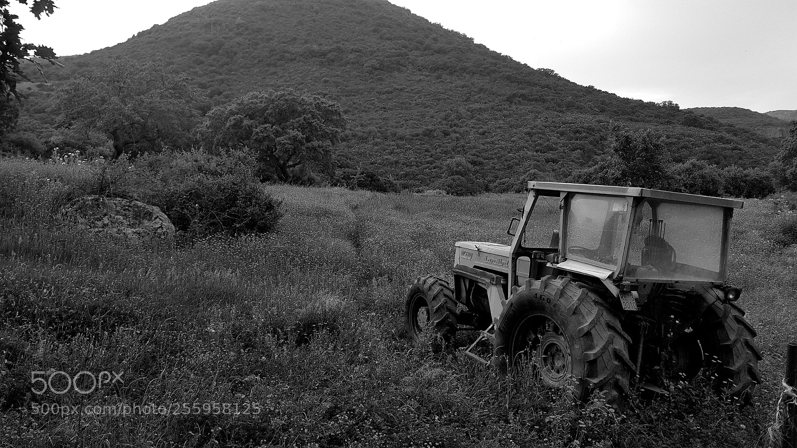 Samsung Galaxy S6 sample photo. Old tractor photography