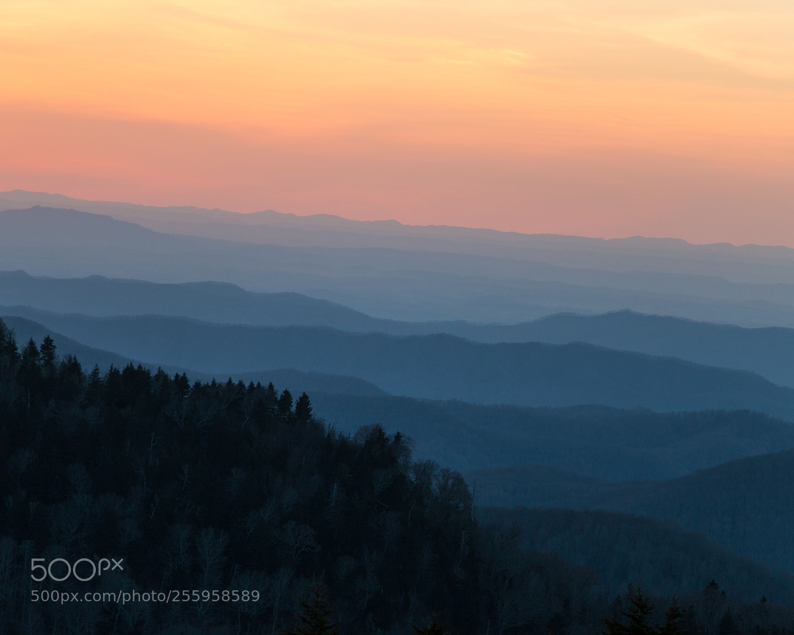 Canon EOS 70D sample photo. Sunset on roan mountain photography
