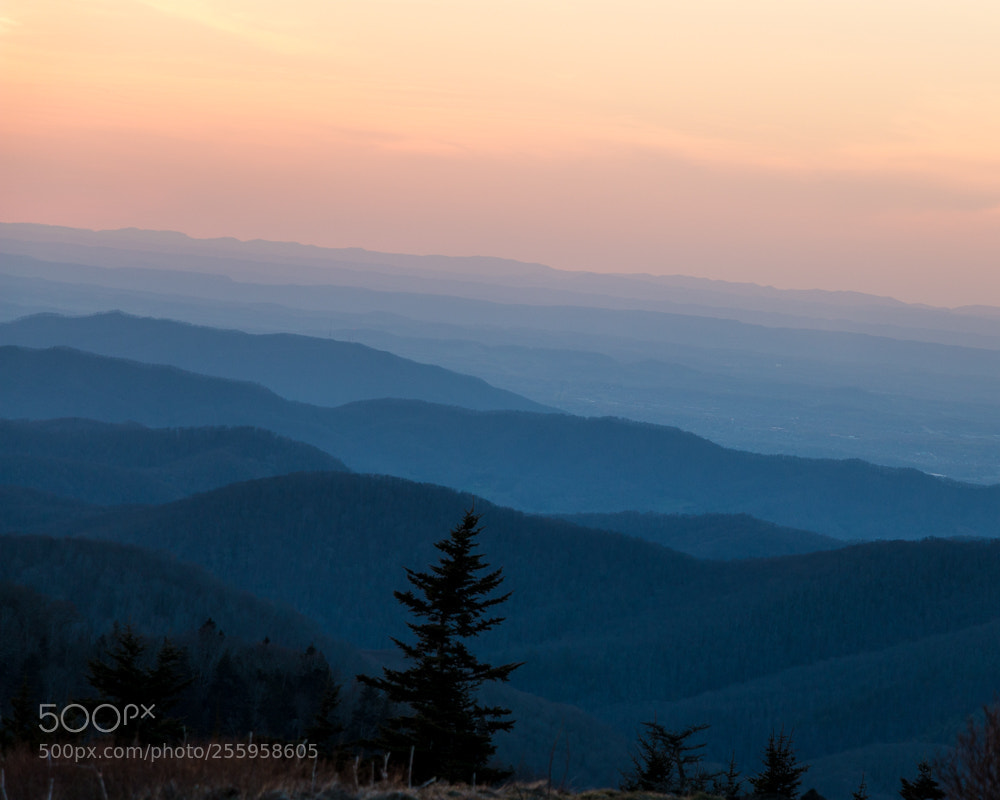 Canon EOS 70D sample photo. Sunset on roan mountain photography