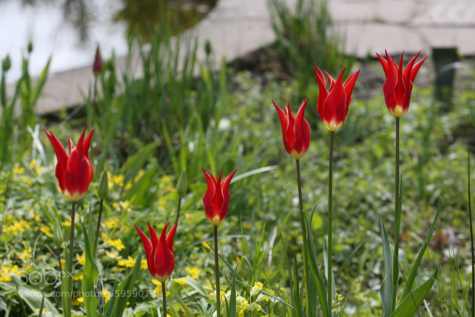 Canon EOS 6D sample photo. Img photography