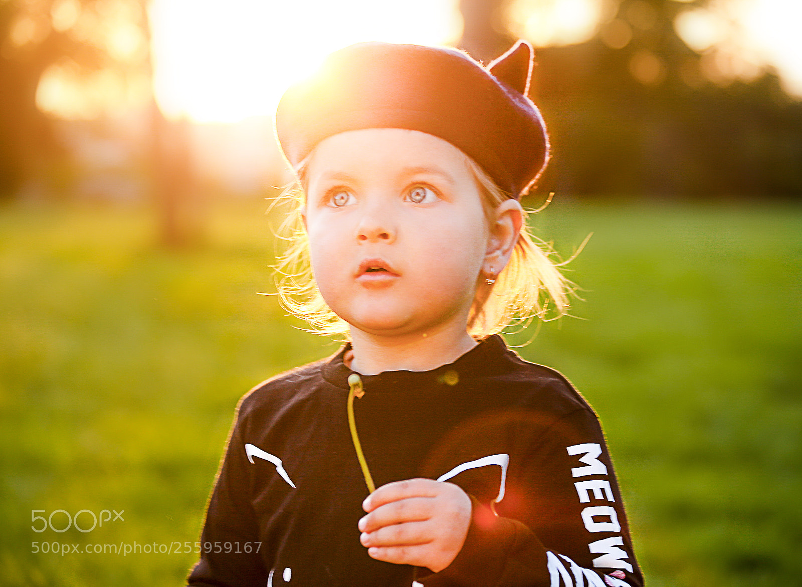 Canon EOS 6D sample photo. Afina photography