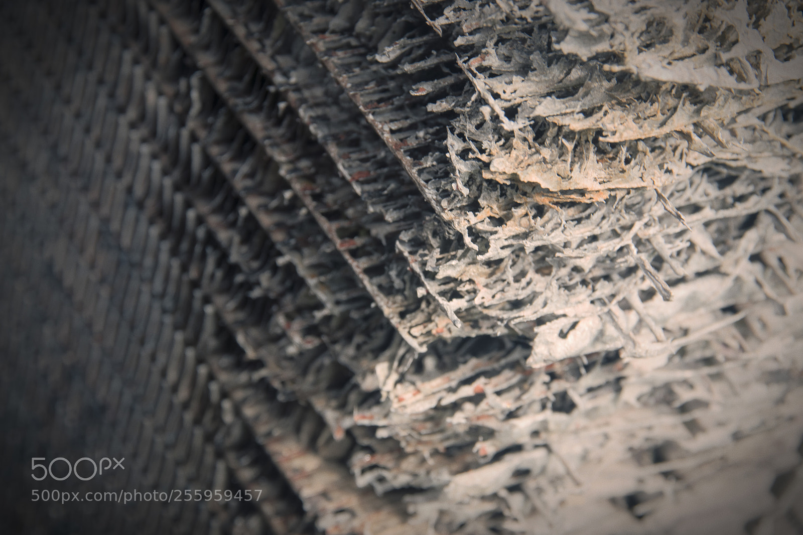 Sony ILCA-77M2 sample photo. "rad" photography