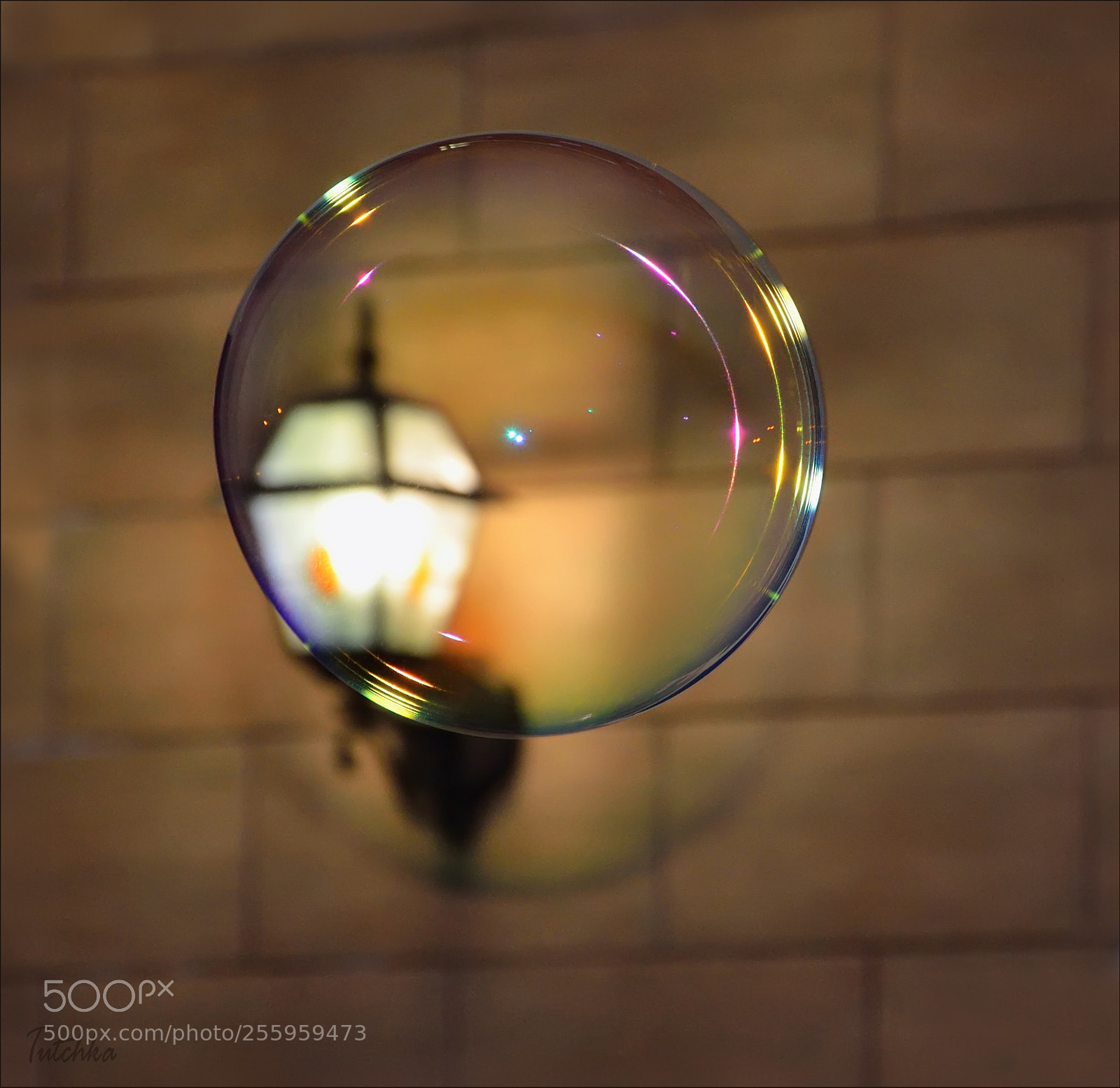 Nikon D7000 sample photo. Семисветик photography