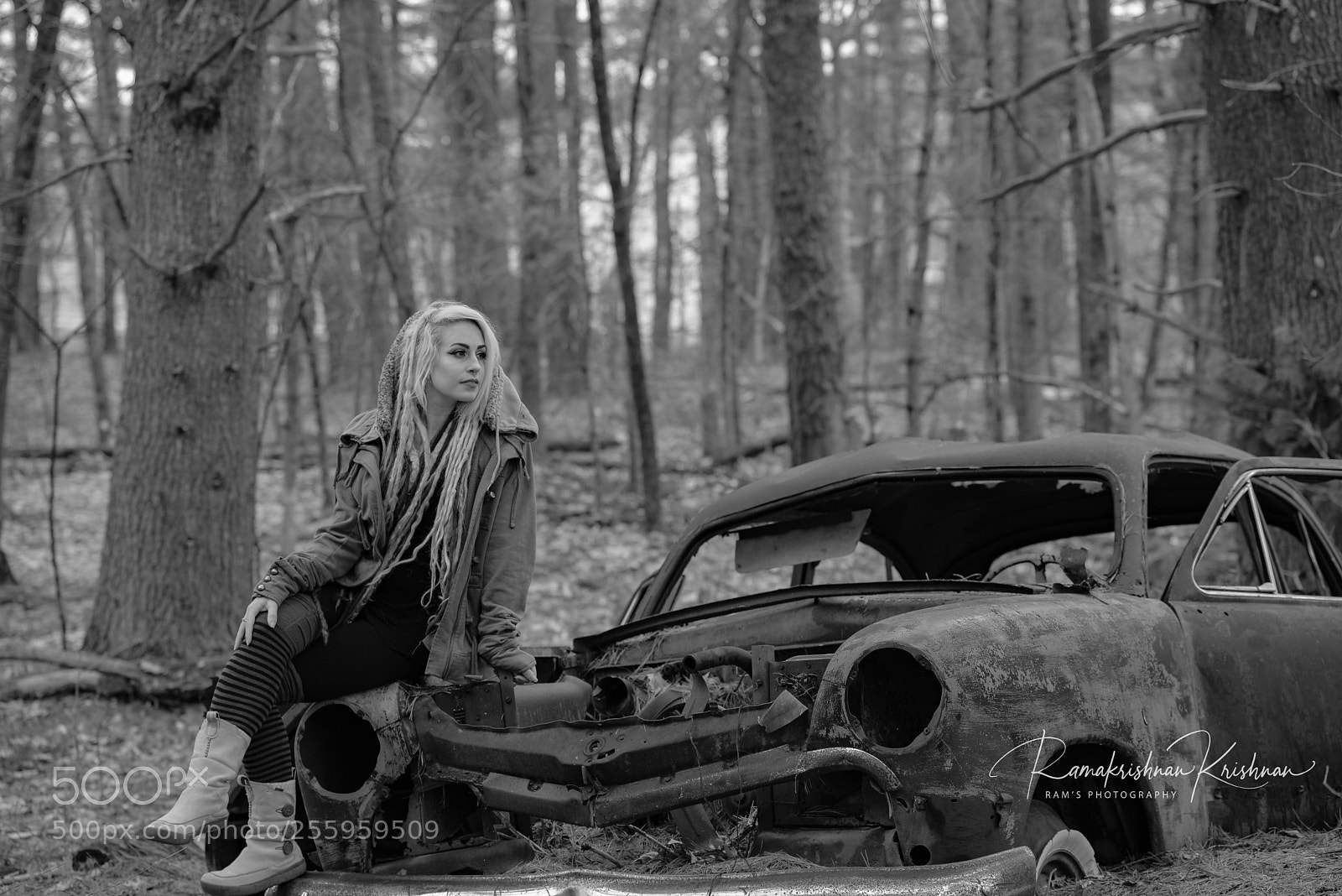 Nikon D610 sample photo. Lost in the woods photography