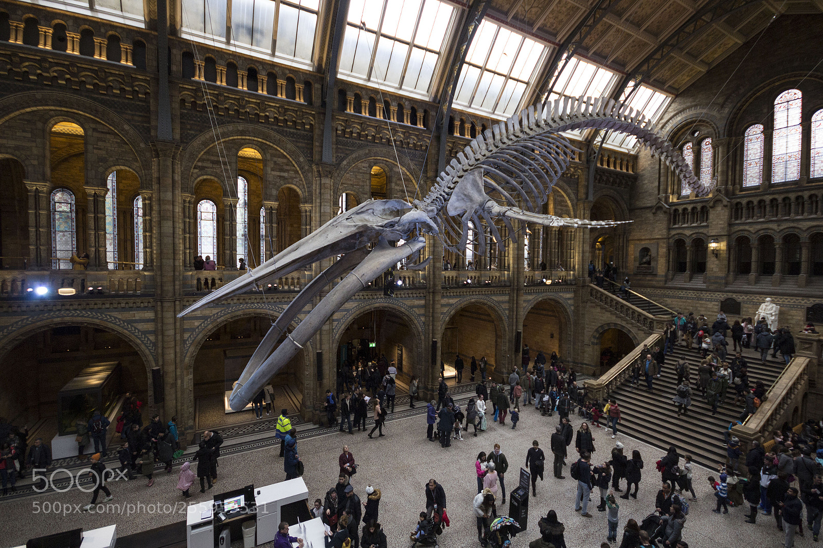Canon EOS 60D sample photo. National history museum photography