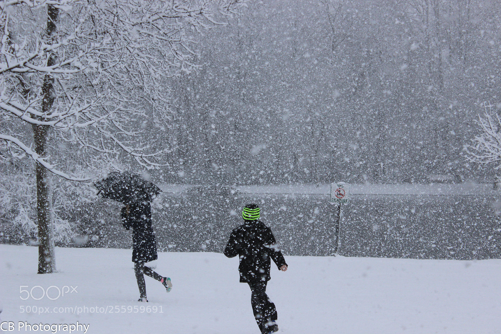Canon EOS 600D (Rebel EOS T3i / EOS Kiss X5) sample photo. Bye winter! photography
