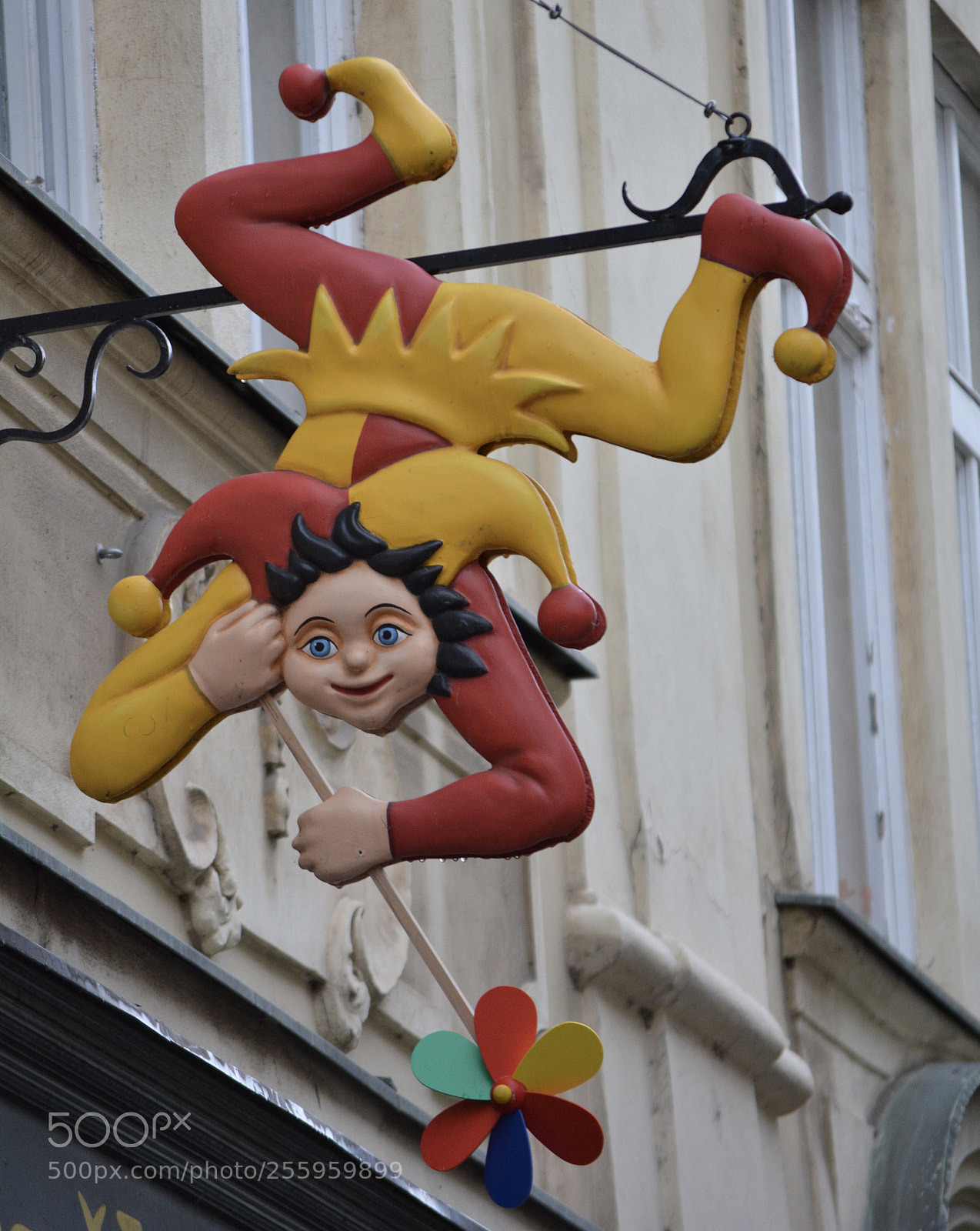 Nikon D5200 sample photo. Harlequin photography