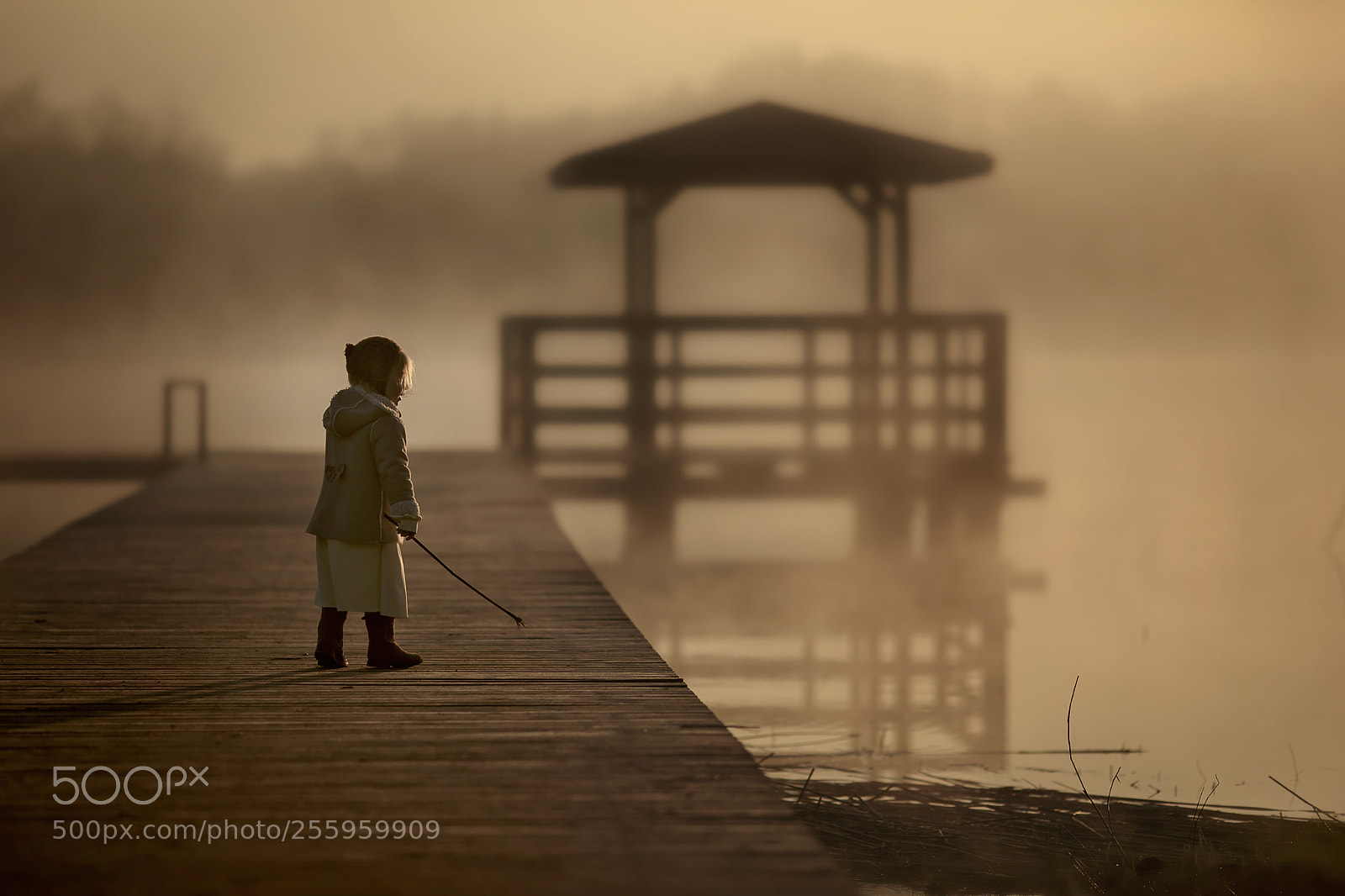 Canon EOS 5D Mark IV sample photo. Sunrise photography
