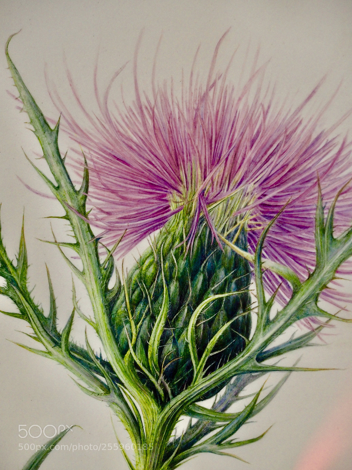 Olympus OM-D E-M10 II sample photo. Artwork in the garden photography