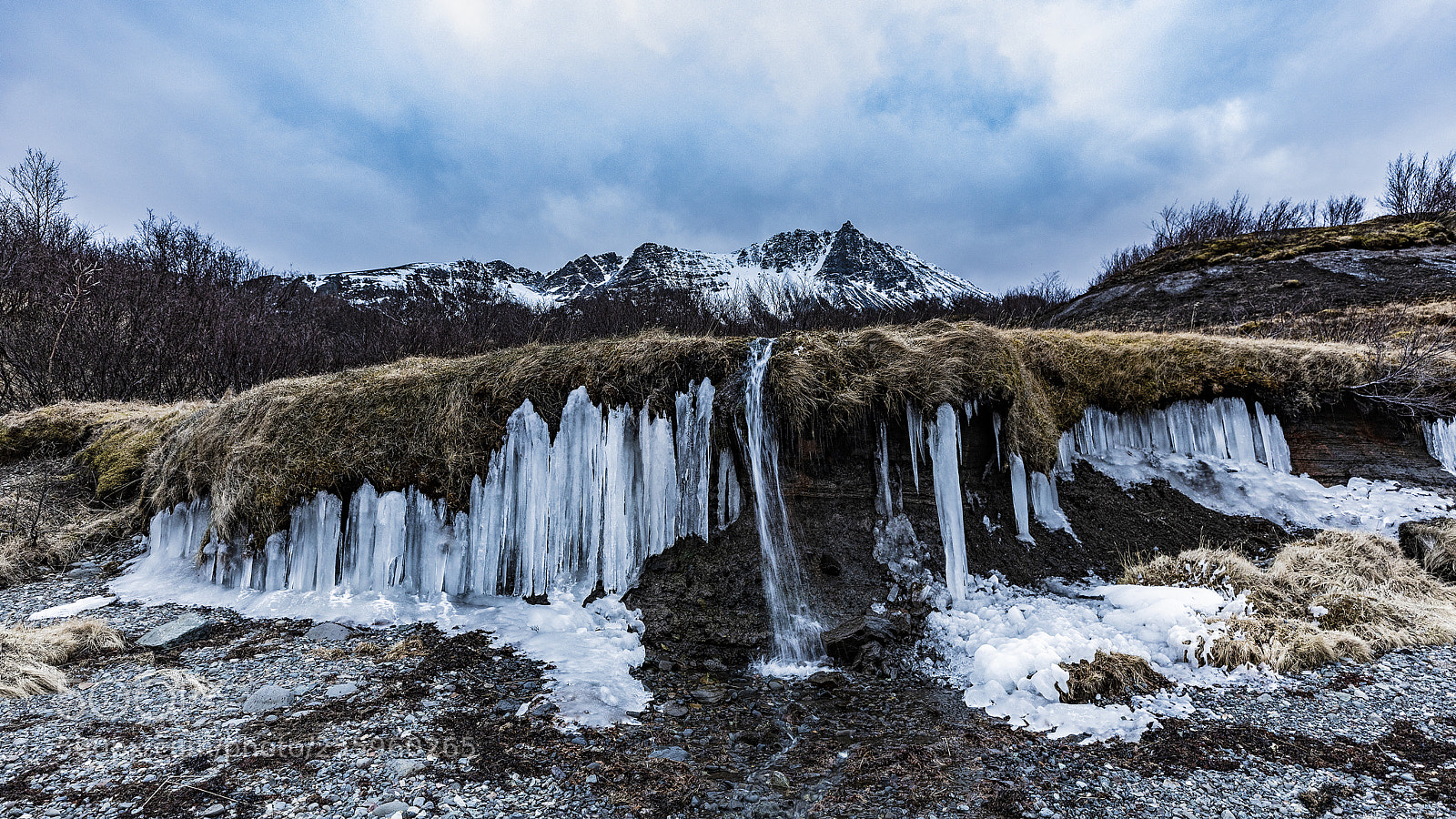 Canon EOS 5D Mark IV sample photo. Frozen beach photography