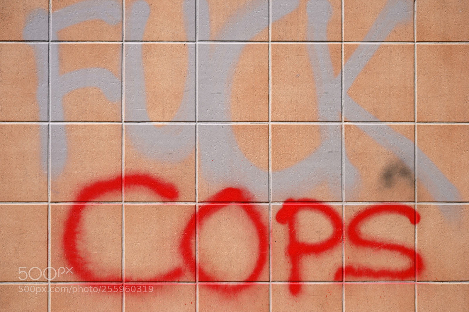 Sony a7 II sample photo. Slogan fuck police on photography