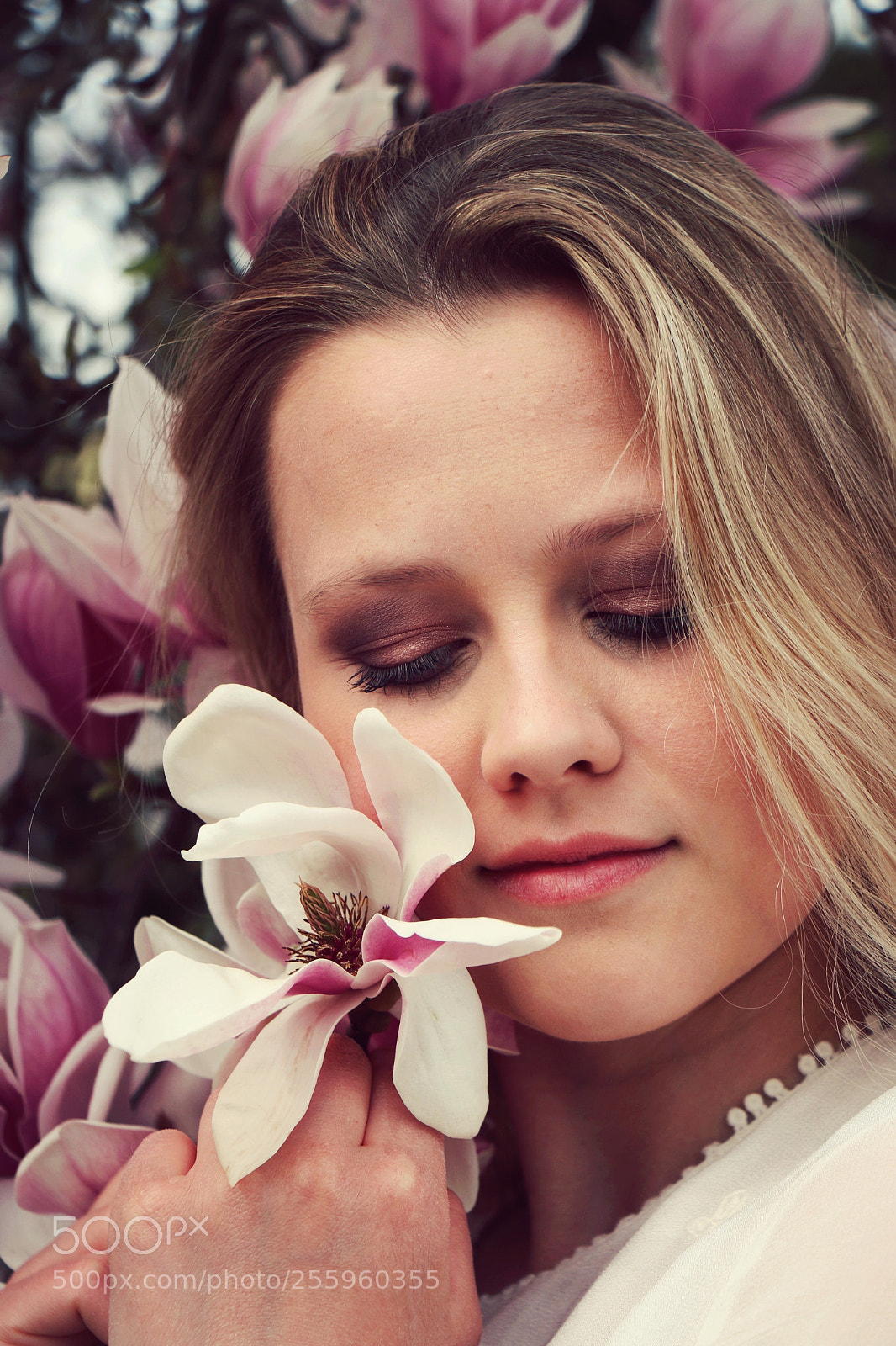 Canon EOS 70D sample photo. Magnolia photography
