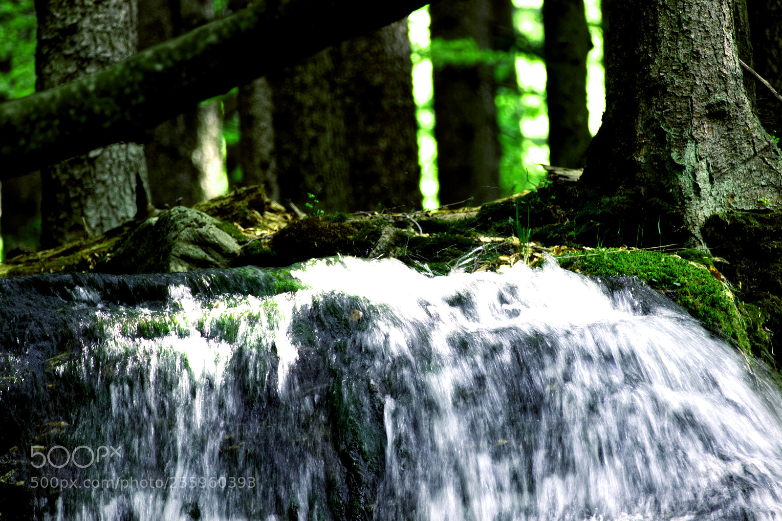 Canon EOS 600D (Rebel EOS T3i / EOS Kiss X5) sample photo. ...small fall... photography