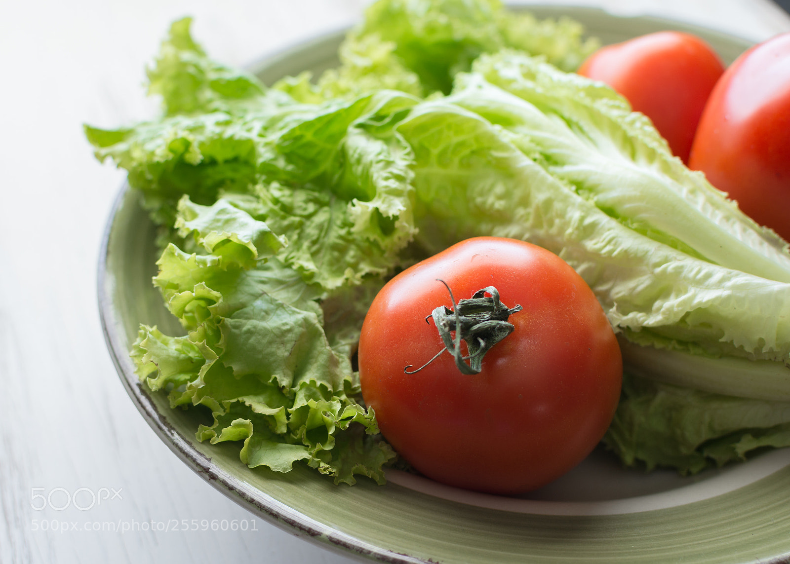 Nikon D7100 sample photo. Romaine lettuce and tomatoes photography