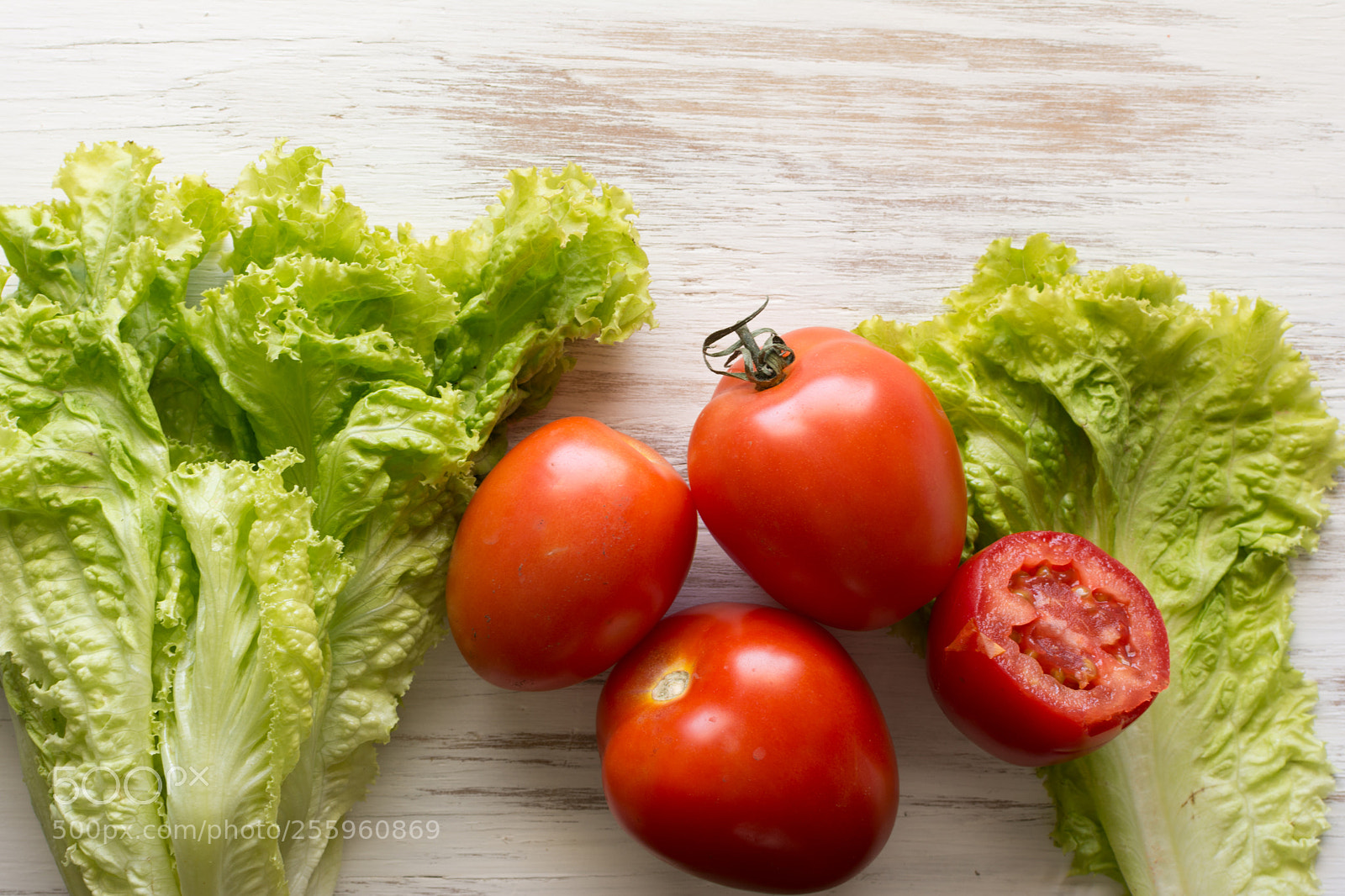 Nikon D7100 sample photo. Tomatoes and lettuce photography