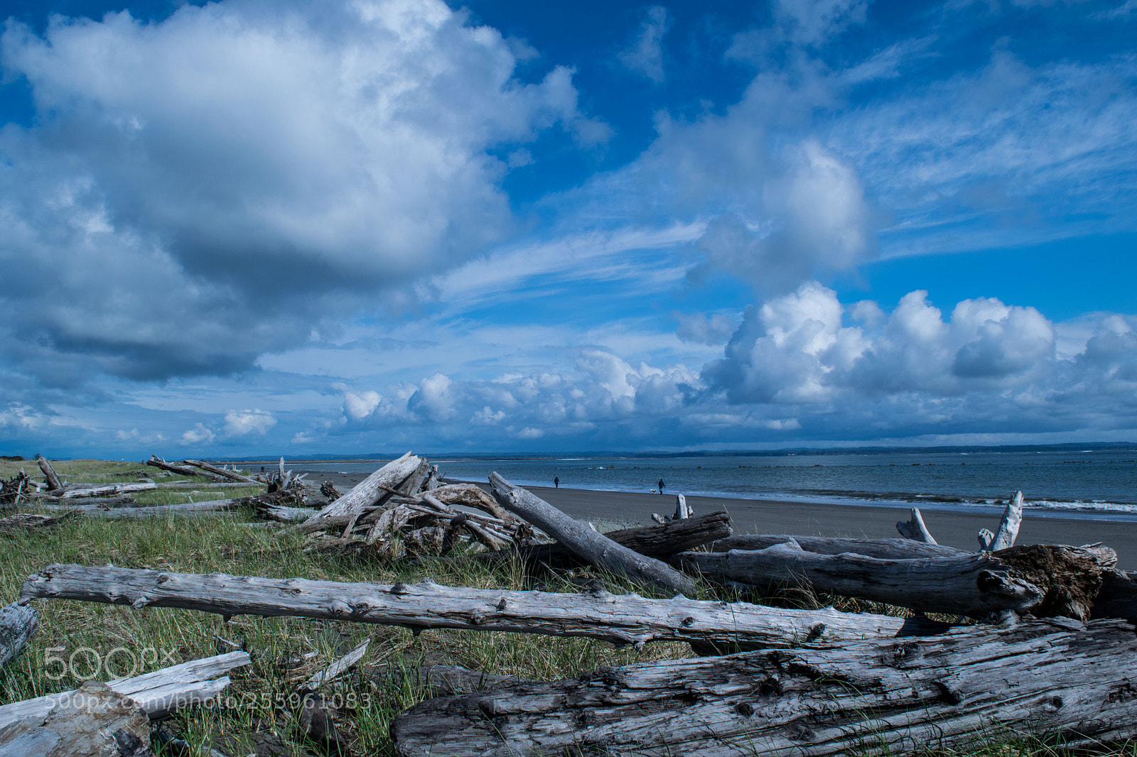 Nikon D3300 sample photo. After the storm photography