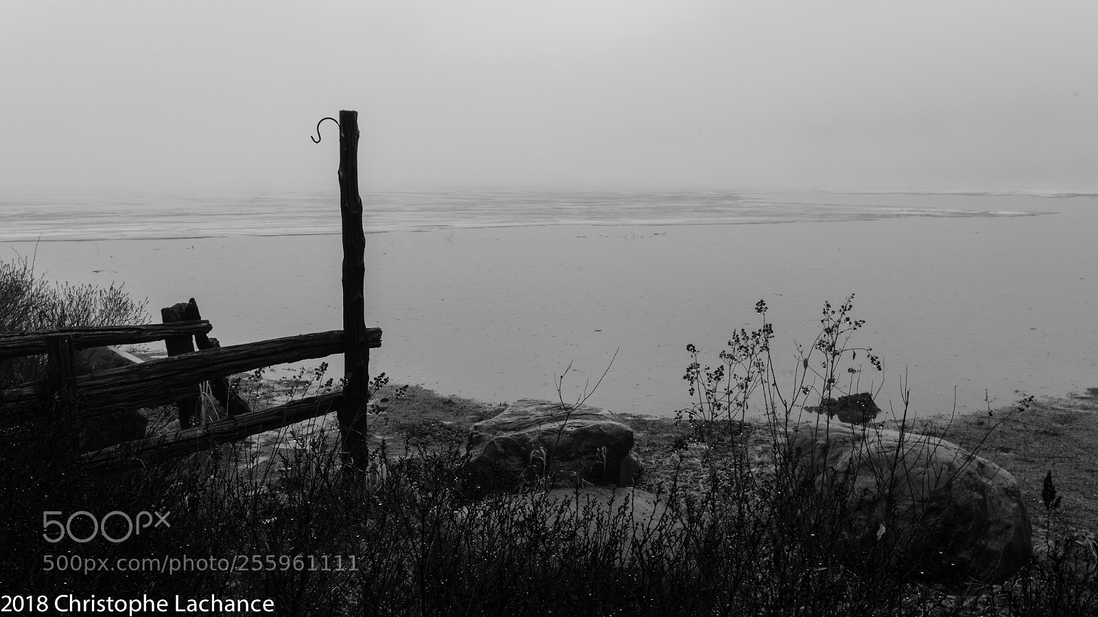 Pentax K-30 sample photo. Fog photography