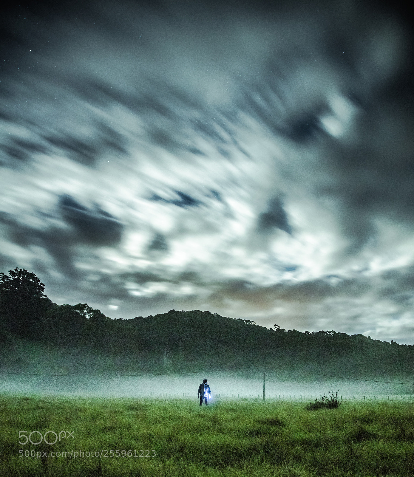 Canon EOS 5DS R sample photo. The dead is still photography