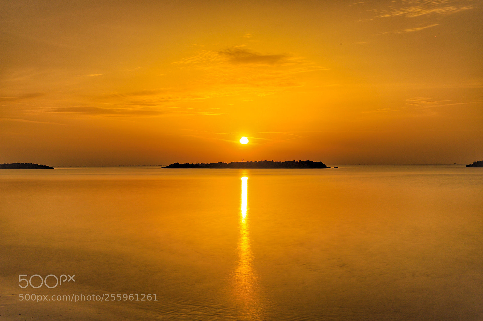 Canon EOS 6D Mark II sample photo. Beautiful sun  photography