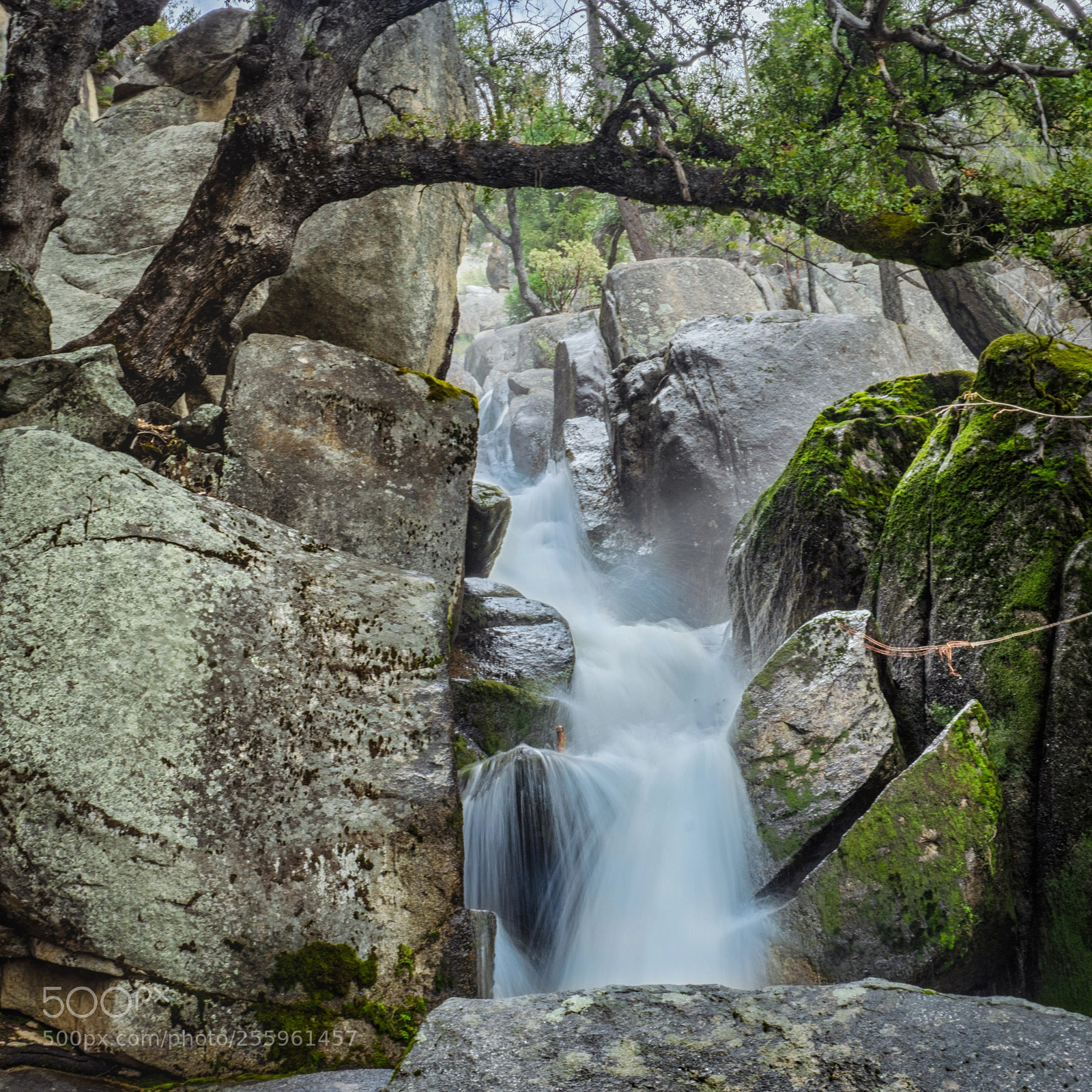 Sony a6000 sample photo. Lower chilnualna fall, yosemite photography