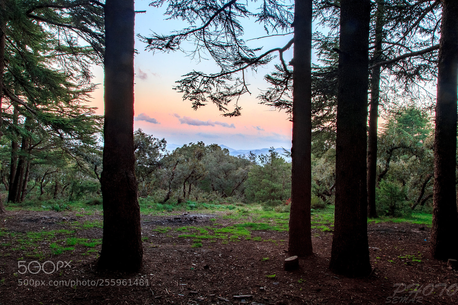 Canon EOS 5D Mark II sample photo. Sunset photography