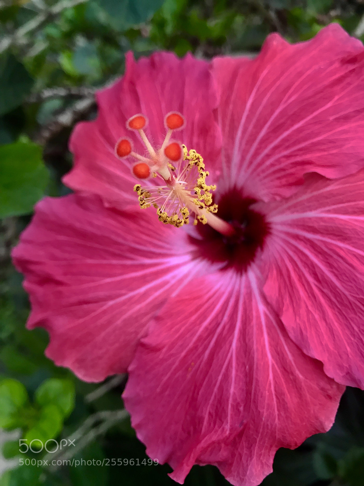 Apple iPhone 7 sample photo. In the evening... photography