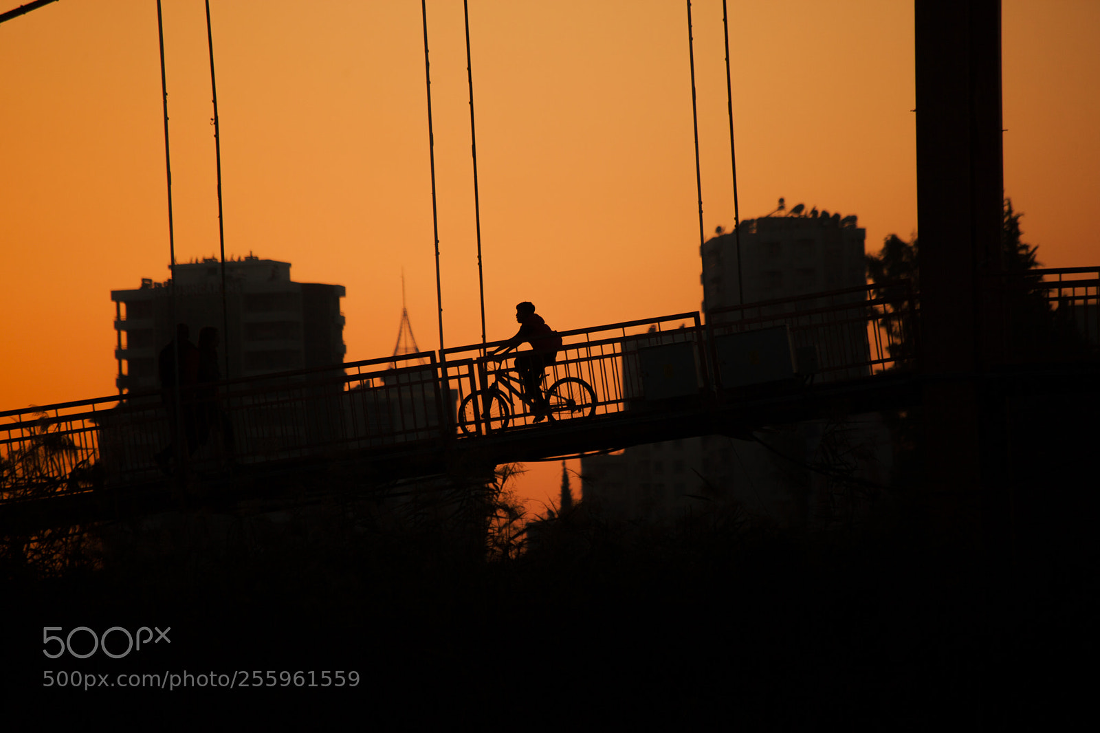 Canon EOS 5D Mark II sample photo. Lets cycle photography