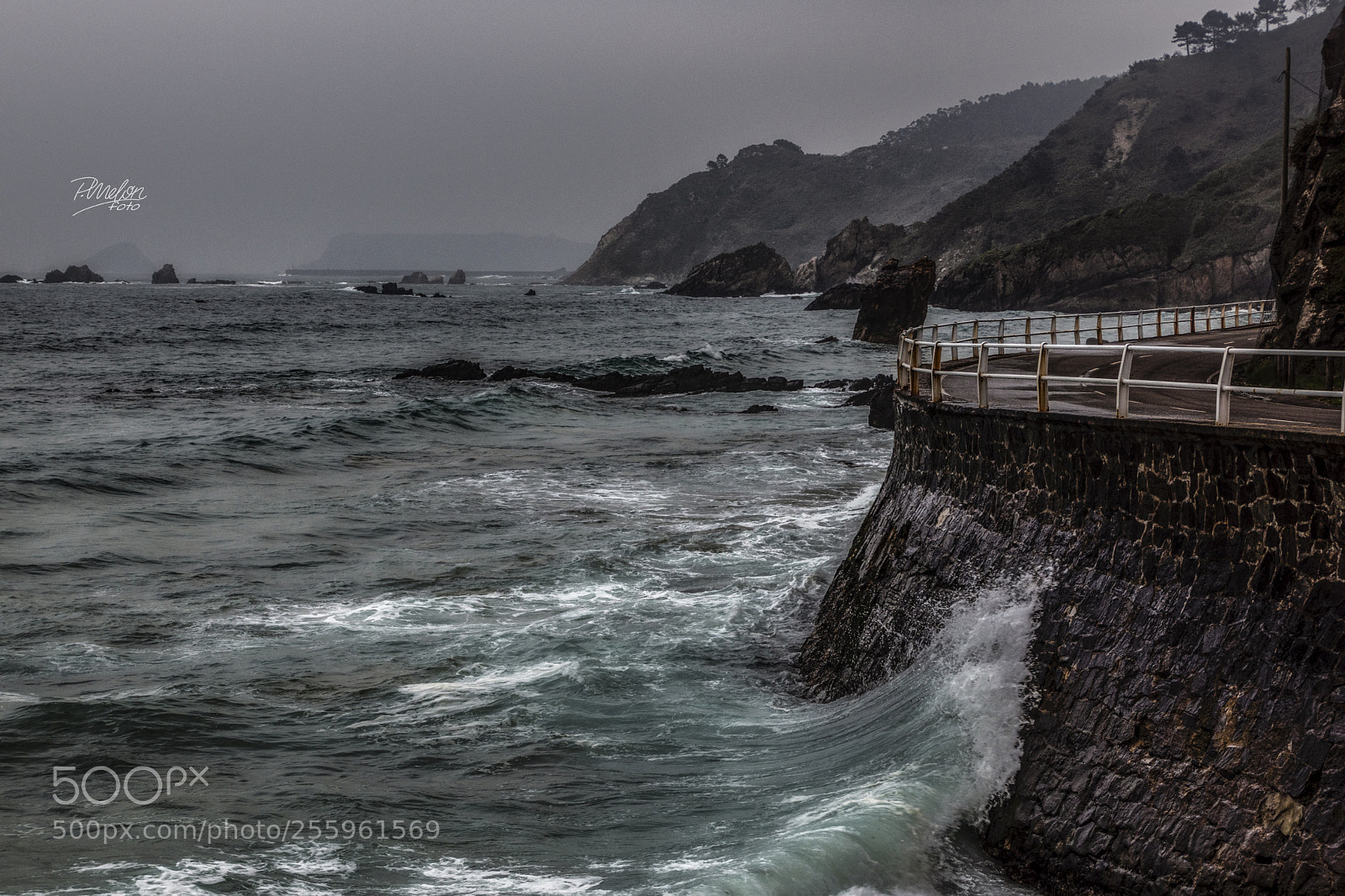 Sony SLT-A68 sample photo. Caricias photography