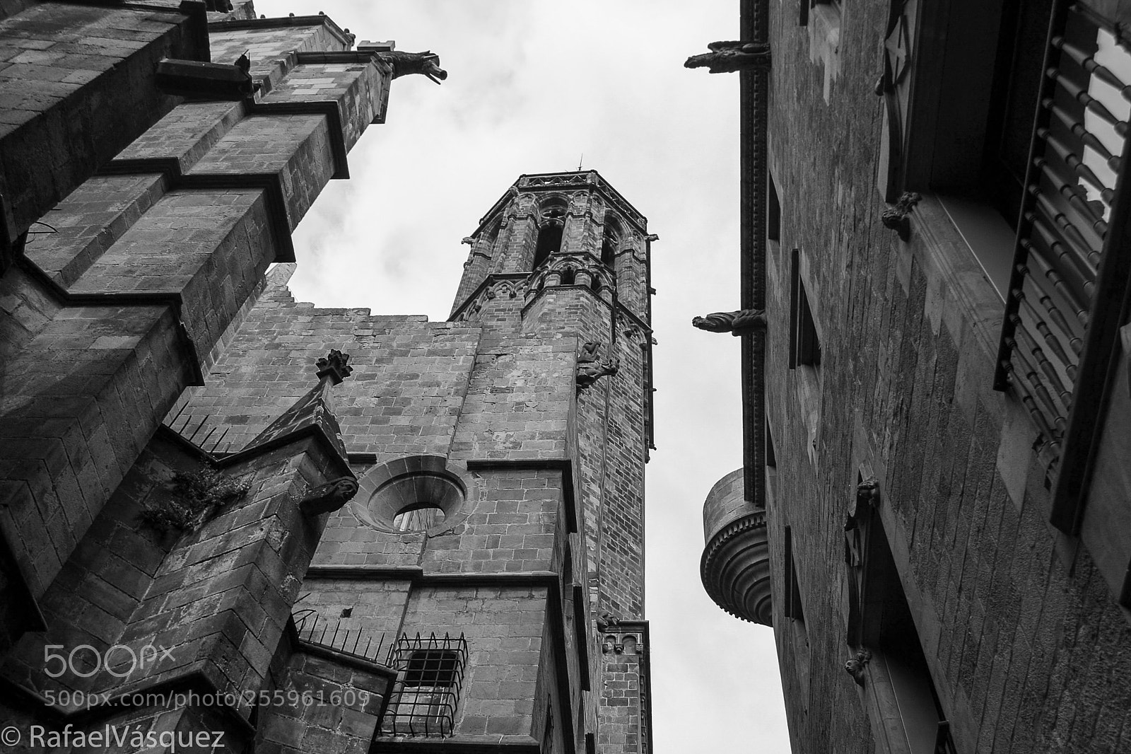 Nikon D3100 sample photo. El barrio gótico photography