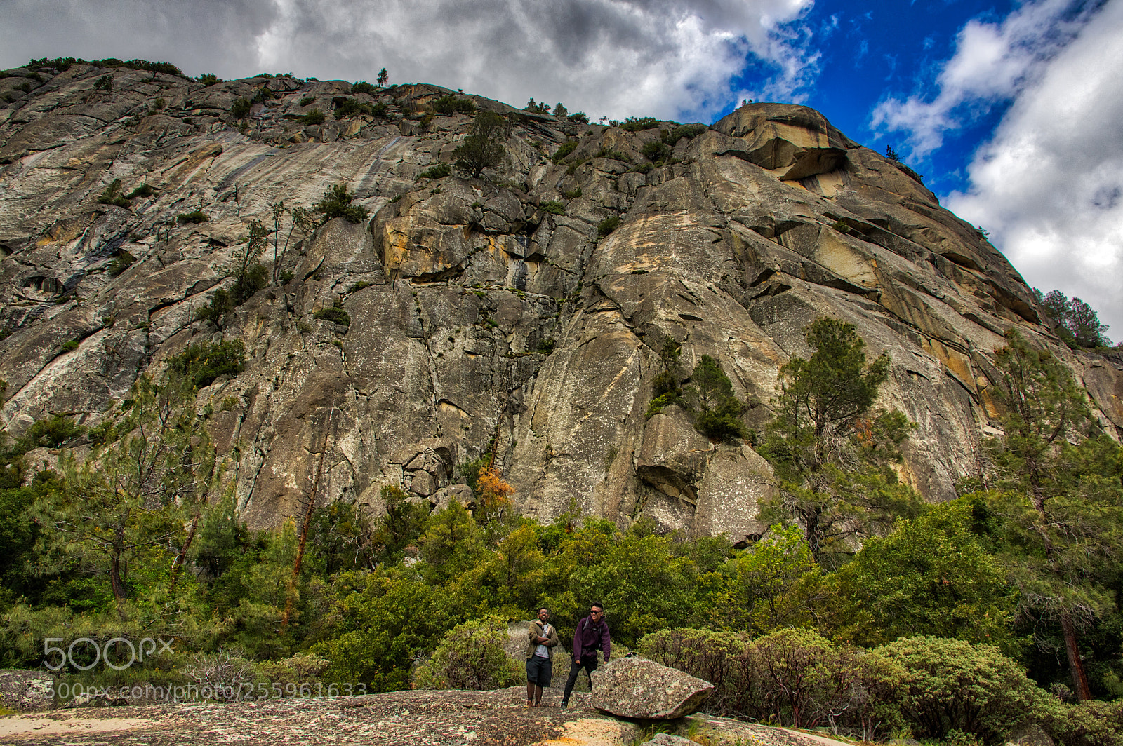 Pentax K-3 II sample photo. Hetch hetchy photography
