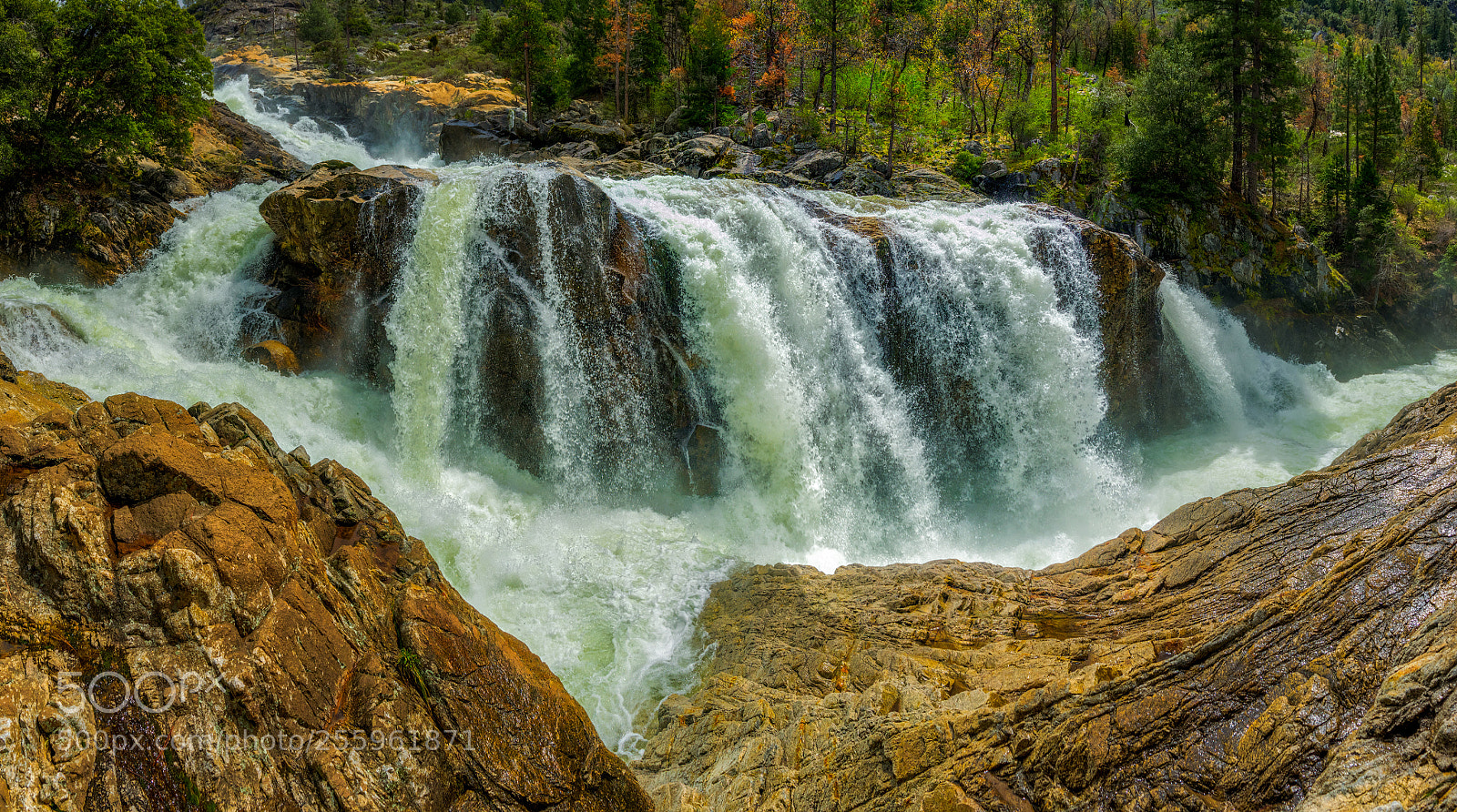 Pentax K-3 II sample photo. Hetch hetchy photography