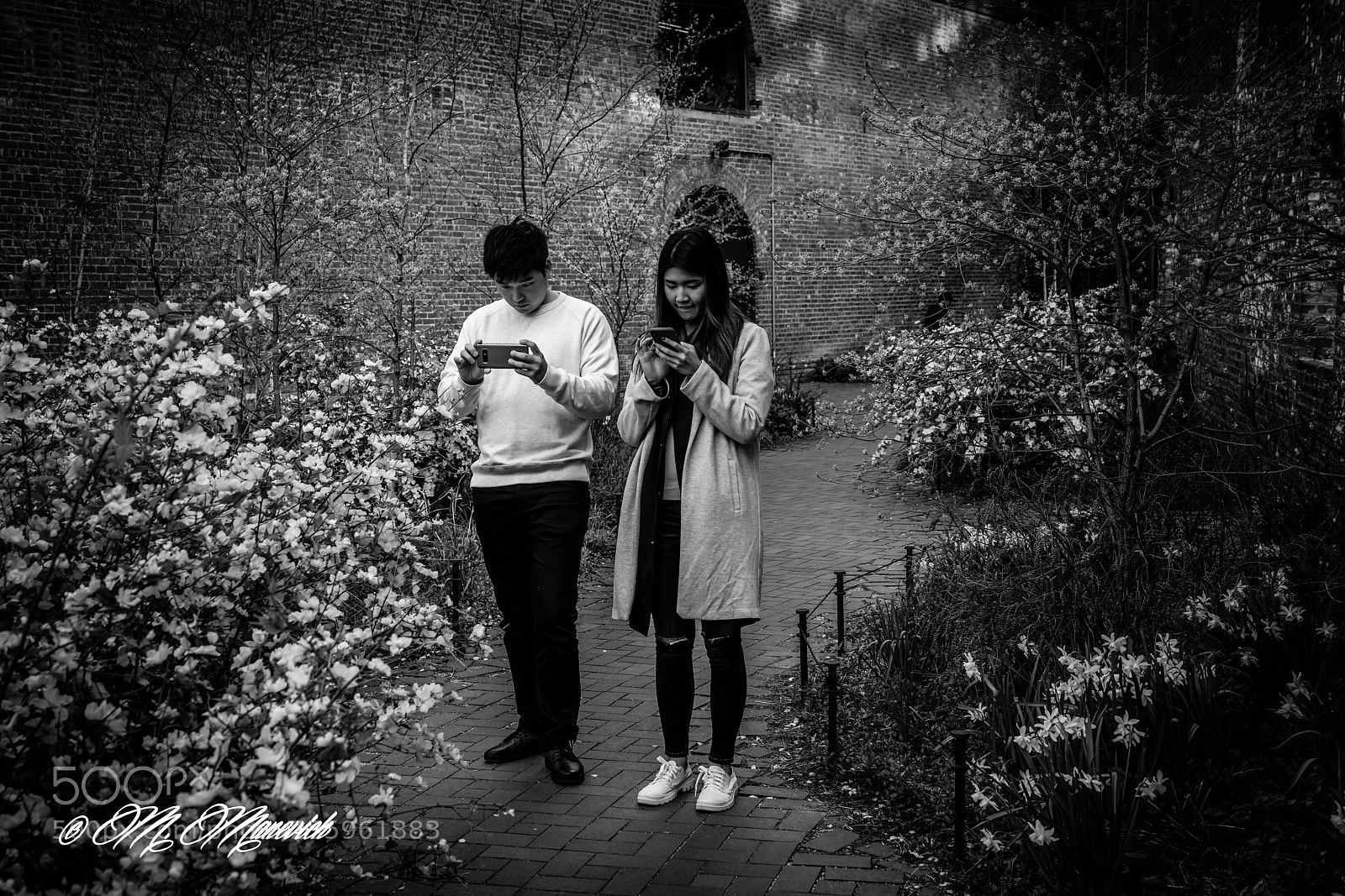 Sony a7R II sample photo. Together photography