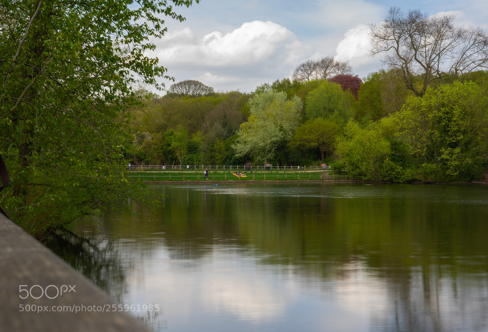 Sony a7 sample photo. Dsc photography