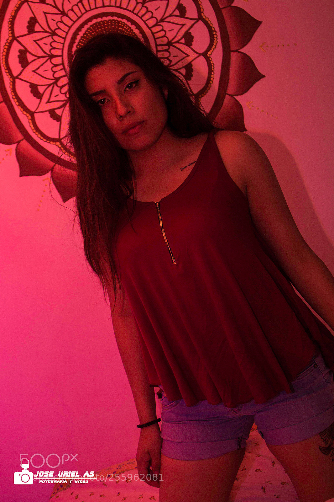 Canon EOS 700D (EOS Rebel T5i / EOS Kiss X7i) sample photo. Ella... photography