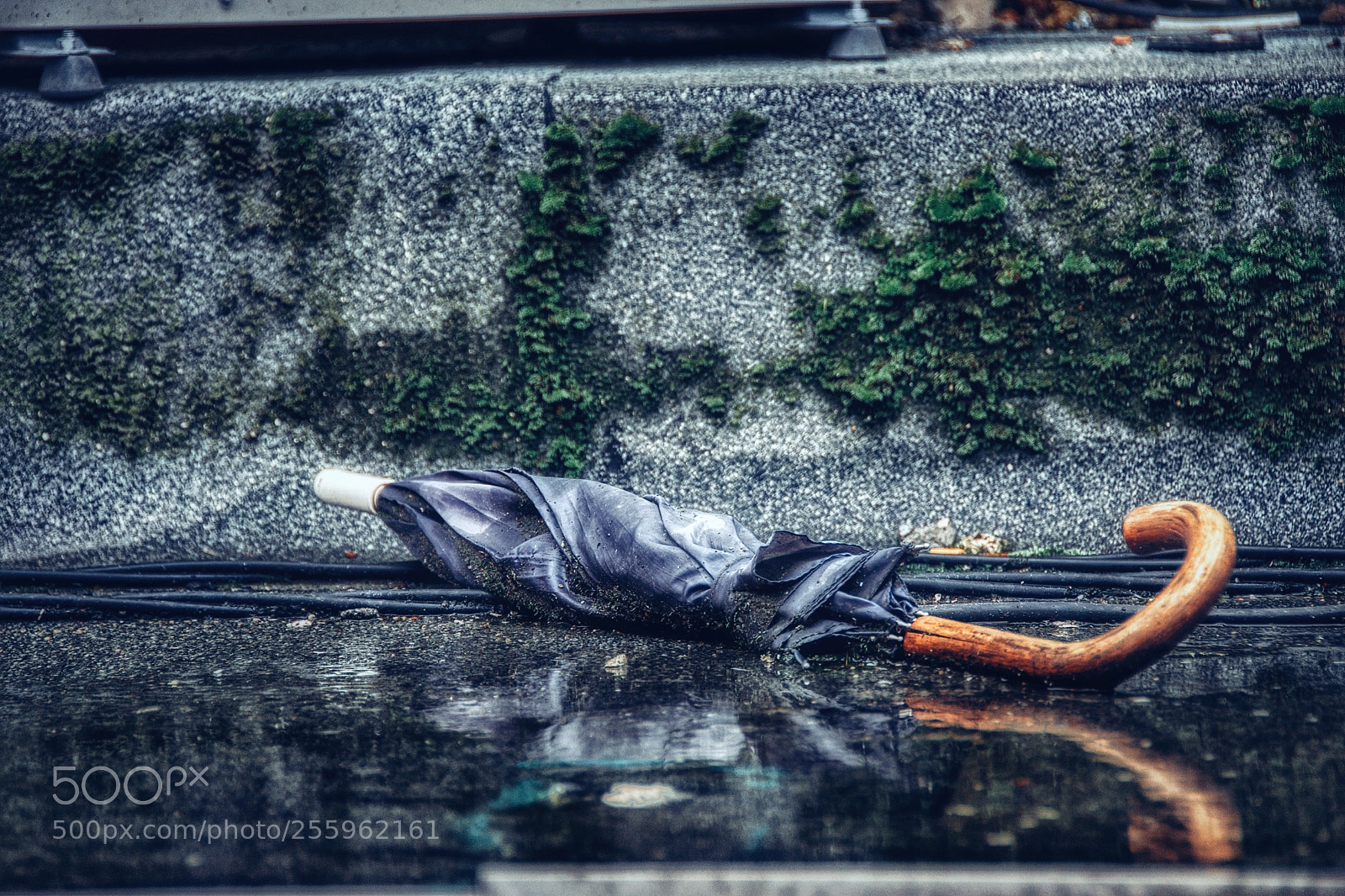 Nikon D5500 sample photo. Abandoned... photography