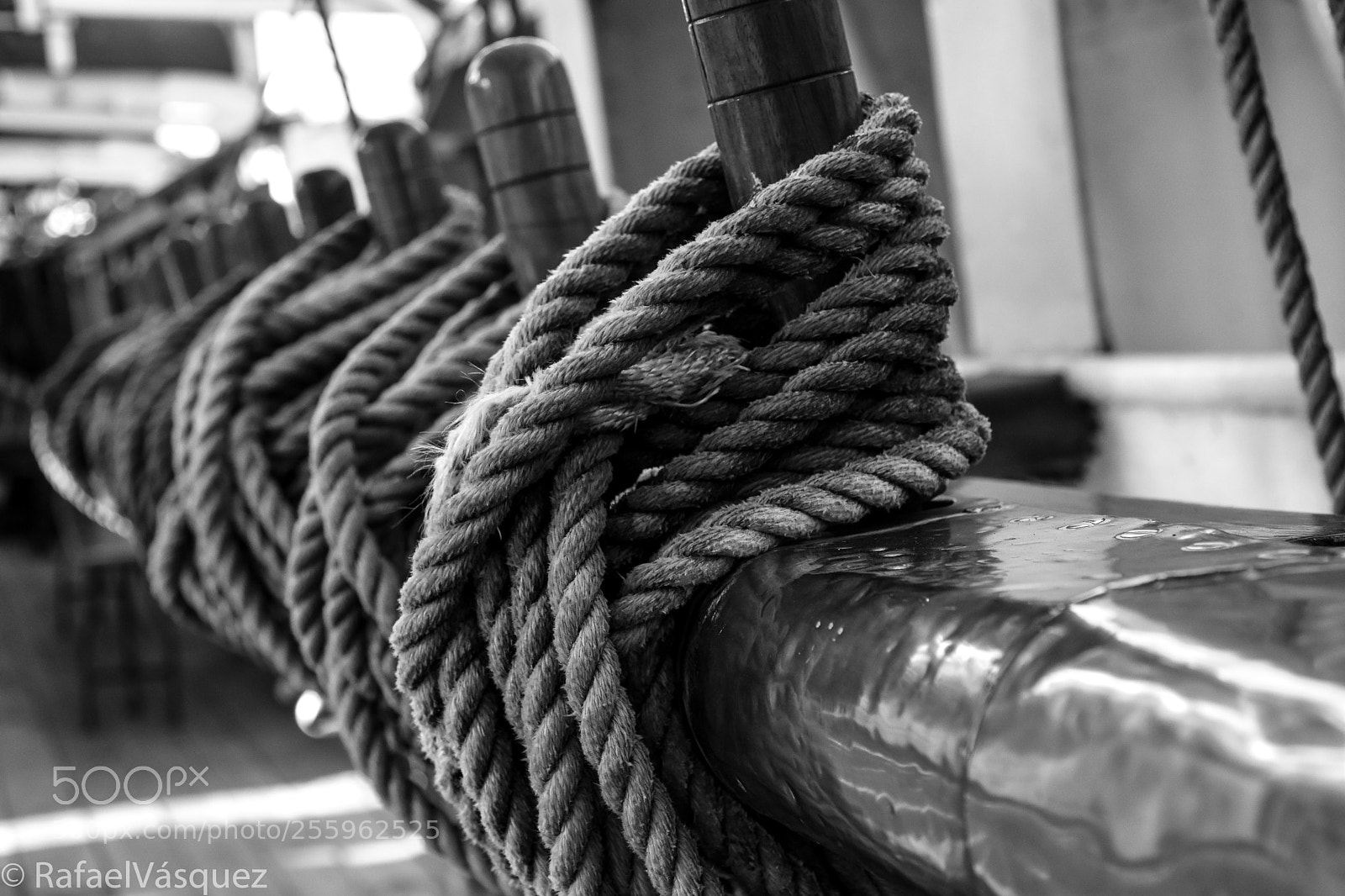 Nikon D7200 sample photo. Las cuerdas del barco photography